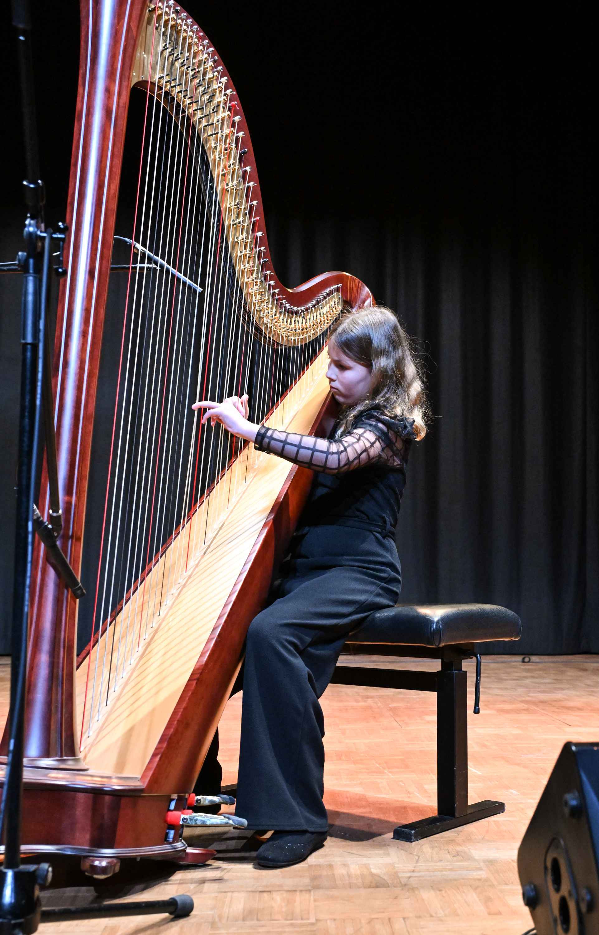 Revija glasbenih šol Dolenjske, Bele krajine in Posavja