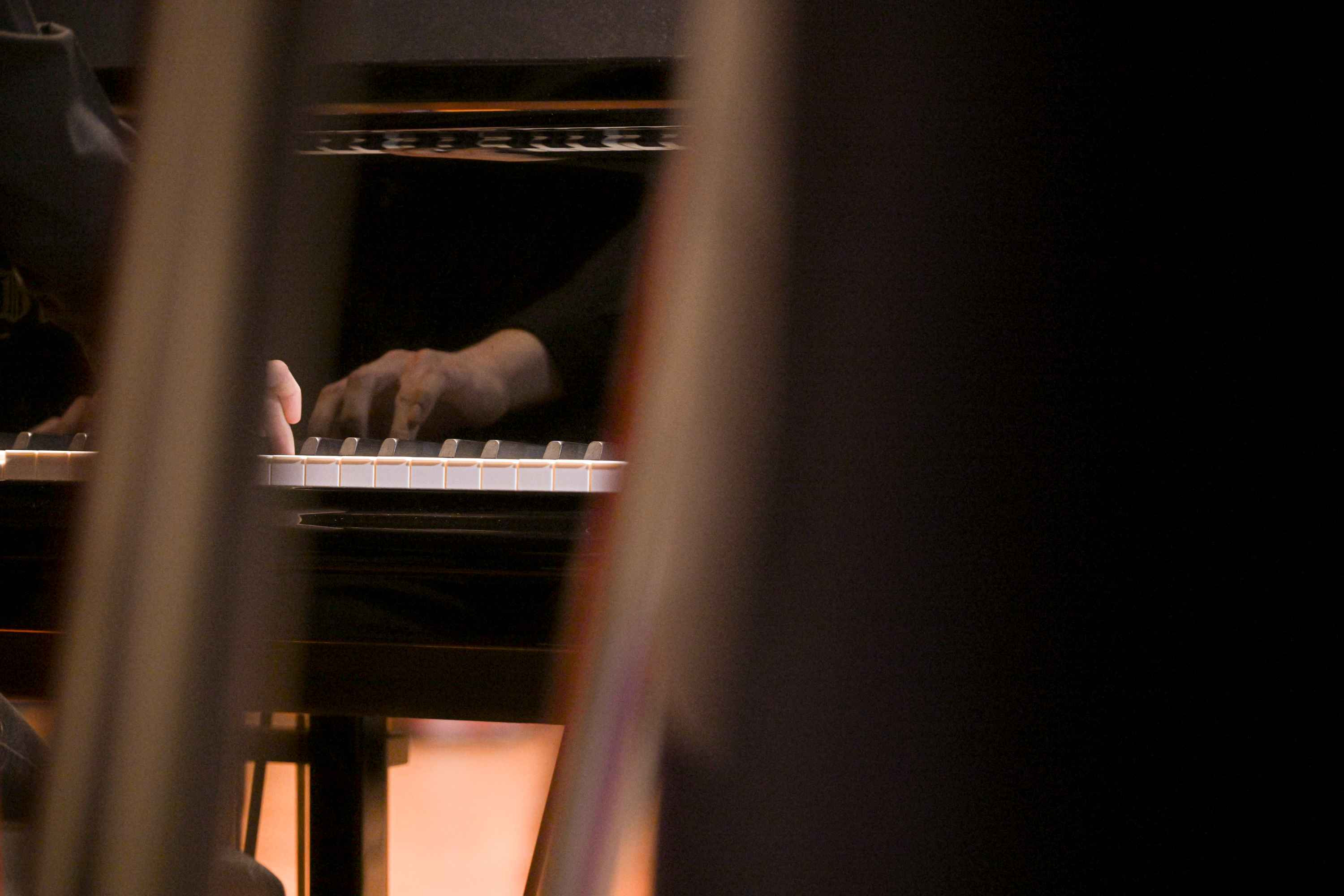 Revija glasbenih šol Dolenjske, Bele krajine in Posavja