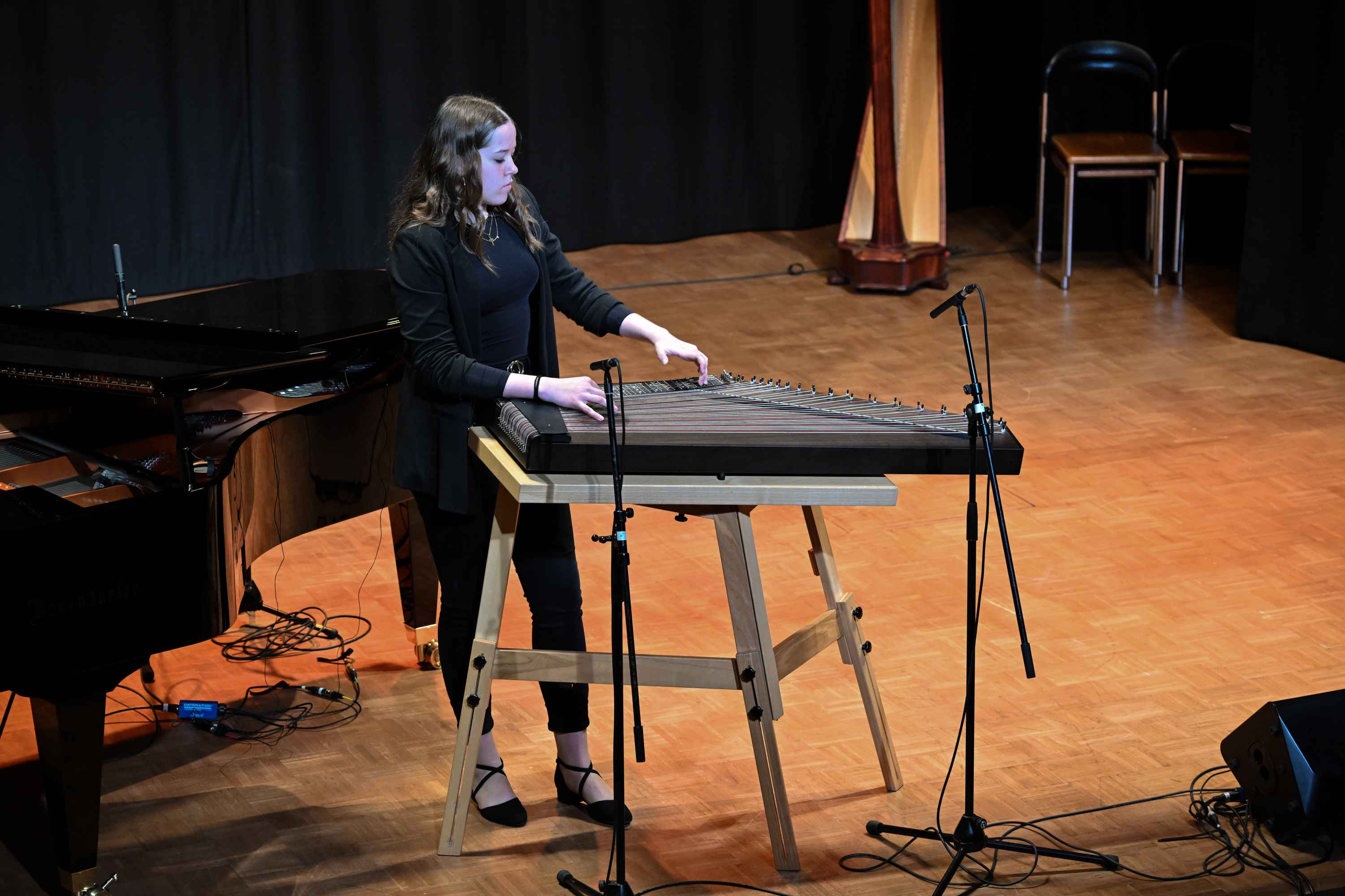 Revija glasbenih šol Dolenjske, Bele krajine in Posavja