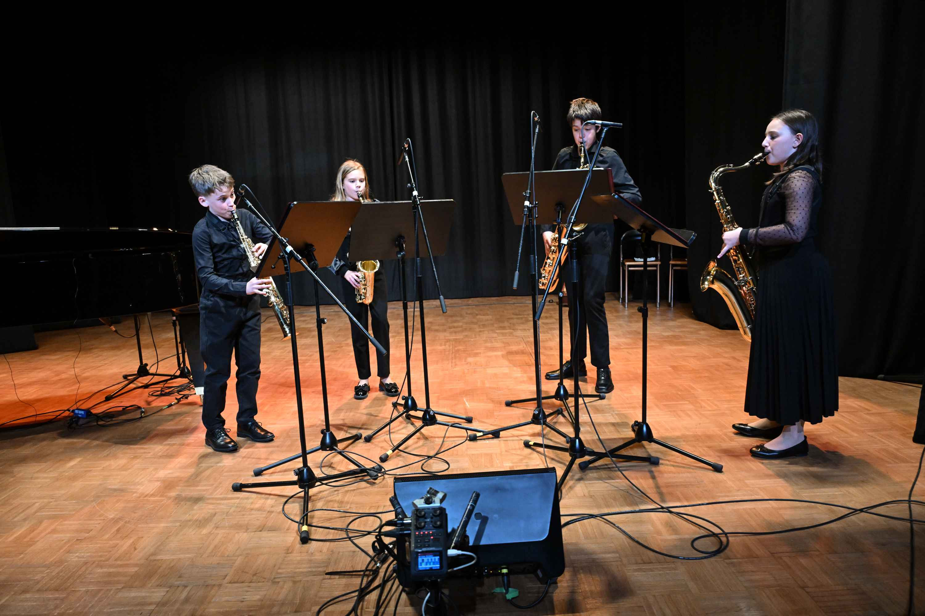 Revija glasbenih šol Dolenjske, Bele krajine in Posavja