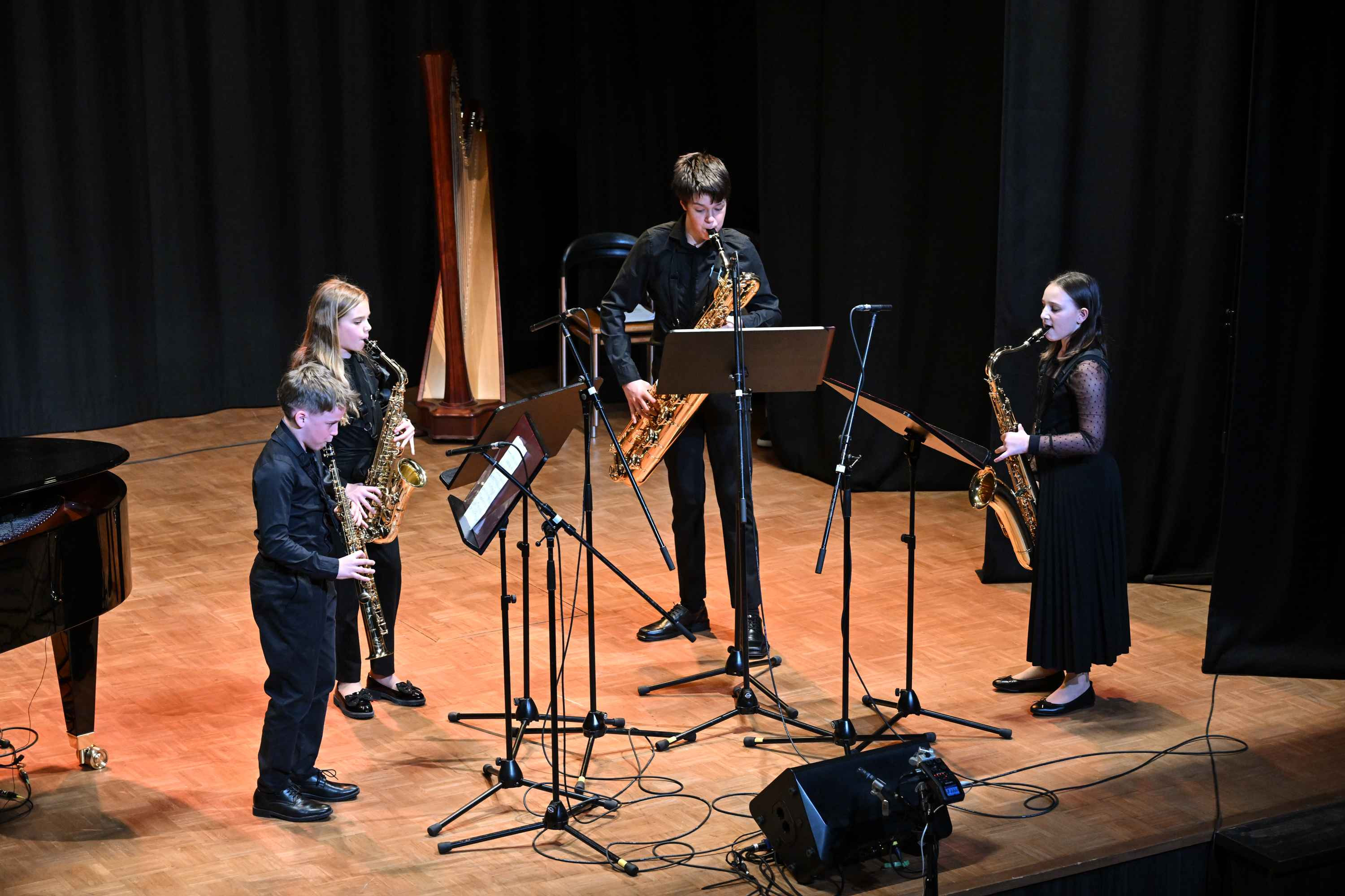 Revija glasbenih šol Dolenjske, Bele krajine in Posavja