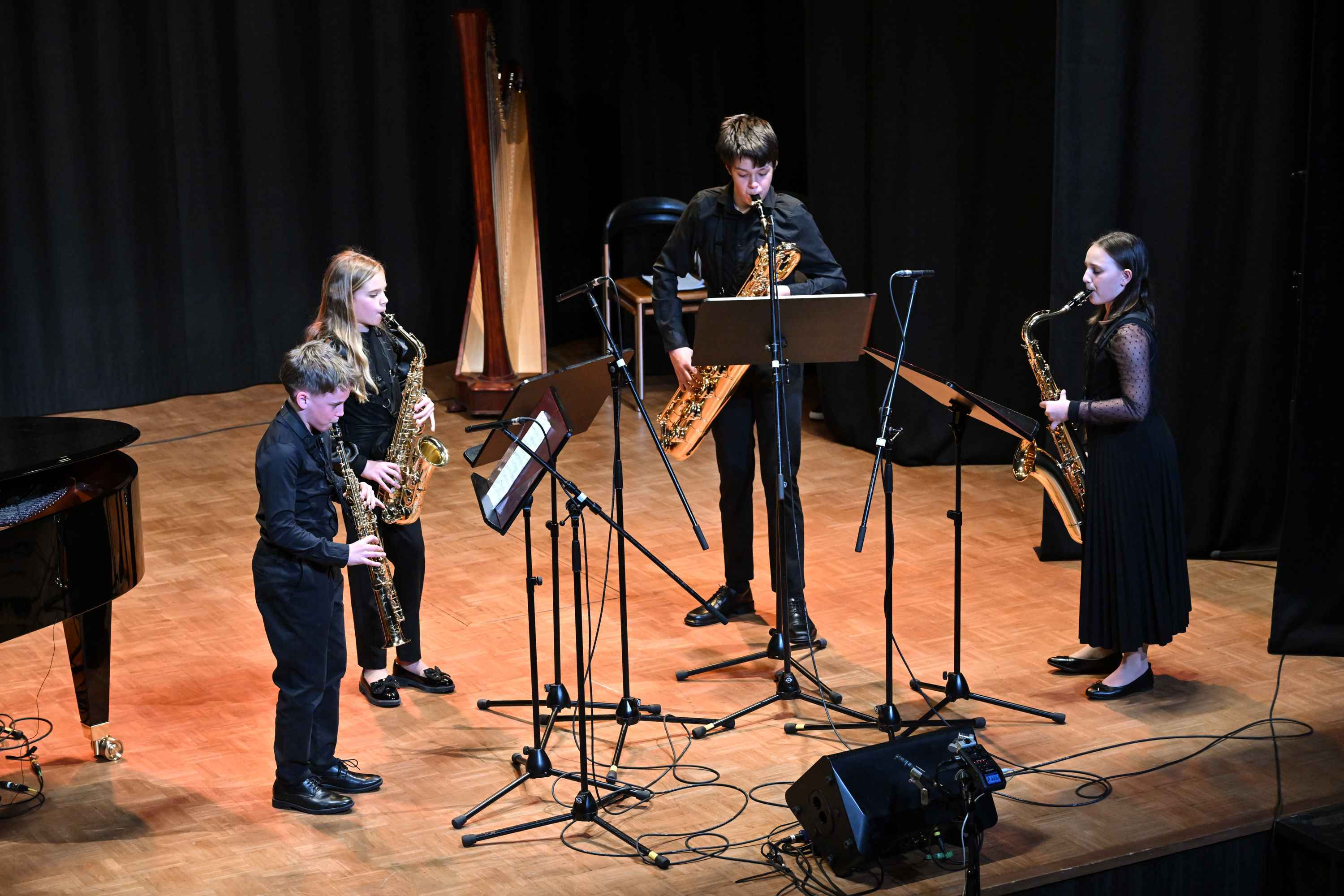 Revija glasbenih šol Dolenjske, Bele krajine in Posavja