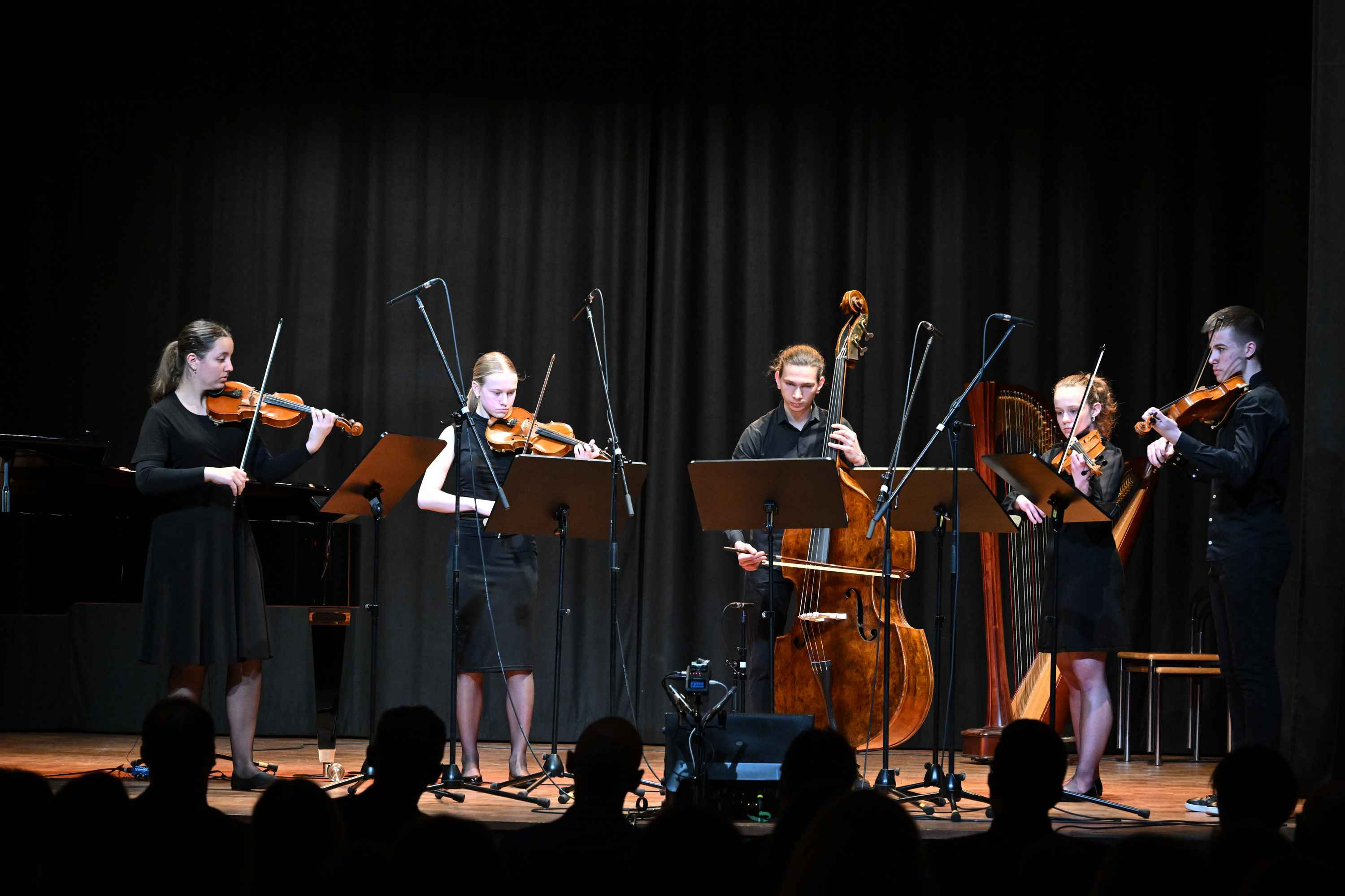 Revija glasbenih šol Dolenjske, Bele krajine in Posavja
