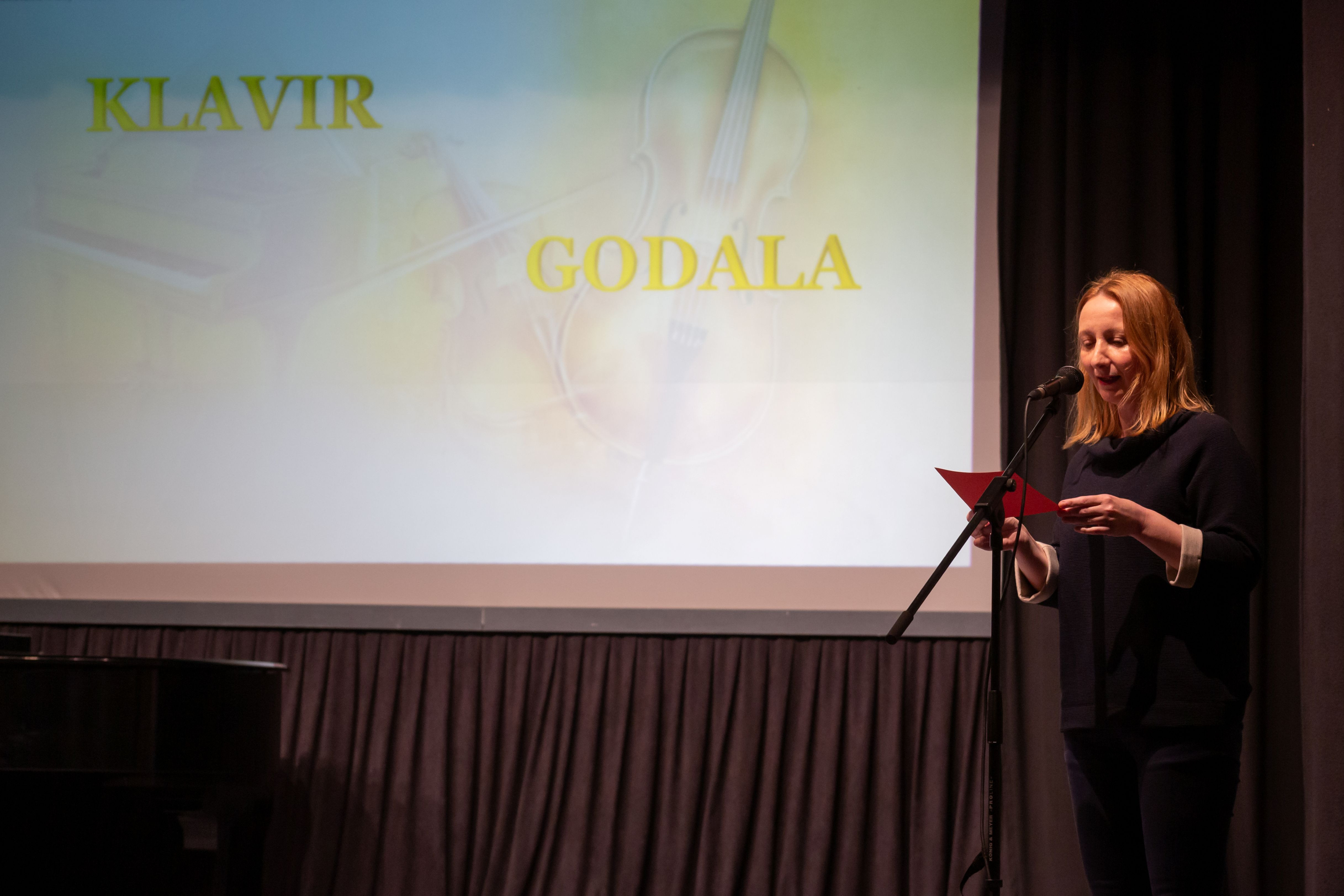 Revija glasbenih šol Dolenjske, Bele krajine in Posavja