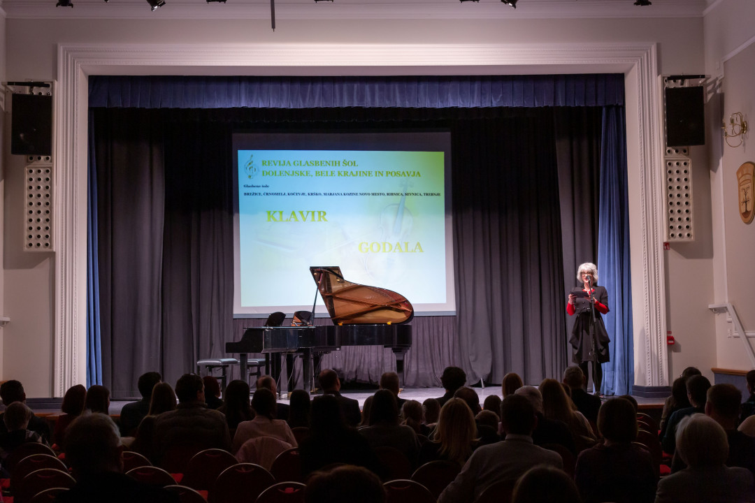 Revija glasbenih šol Dolenjske, Bele krajine in Posavja