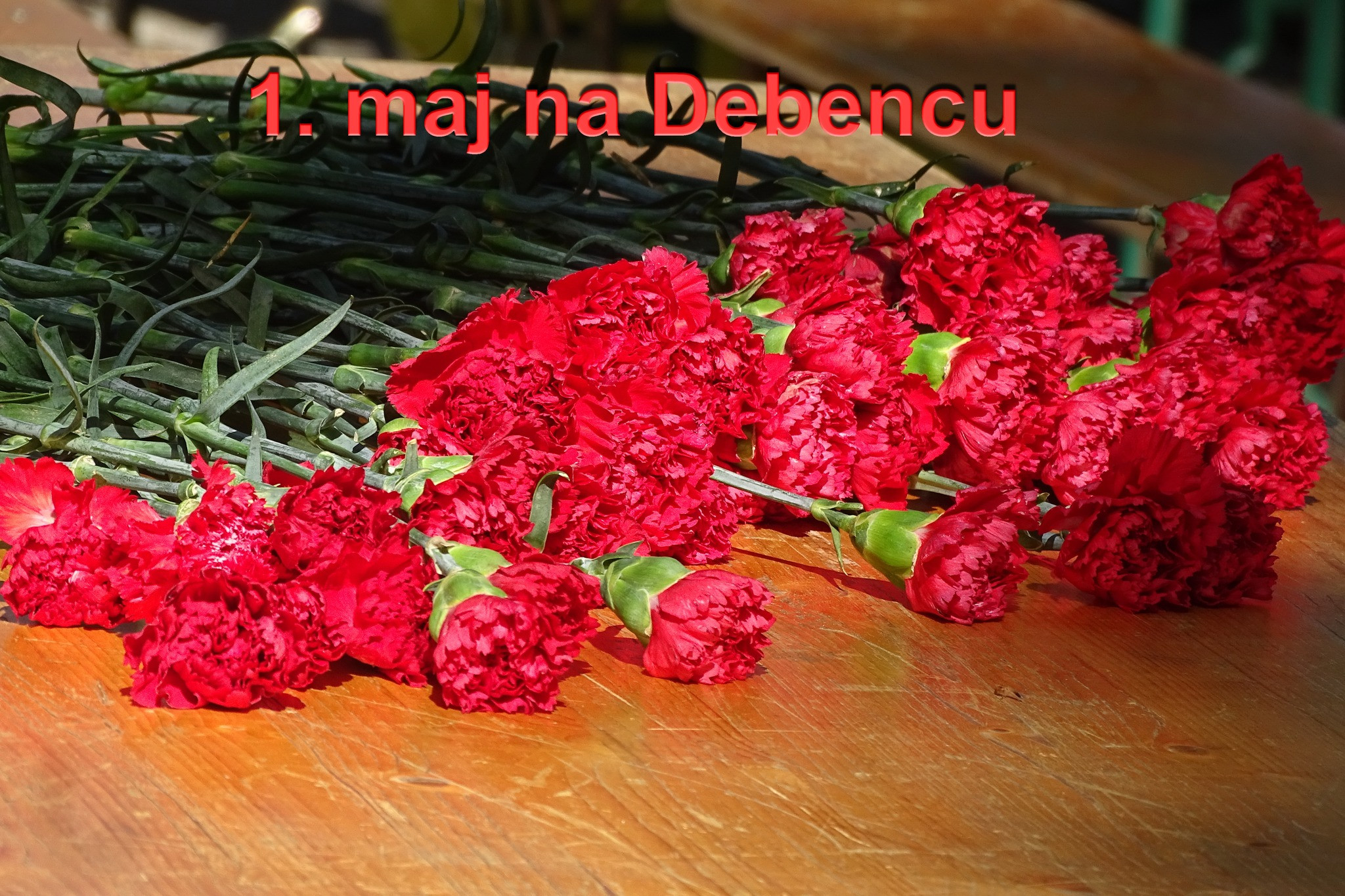 Tradicionalno delavsko srečanje na Debencu pri Mirni