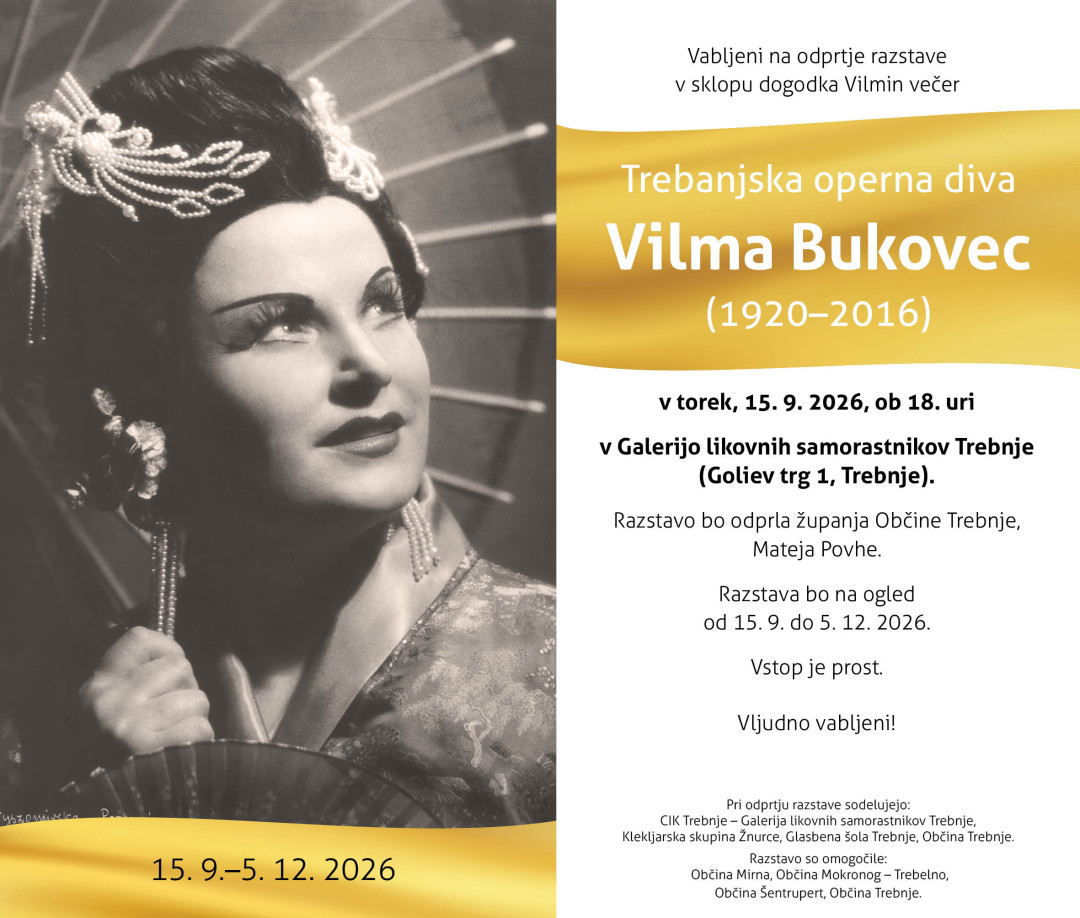 Vabilo na odprtje razstave v sklopu Vilminega večera