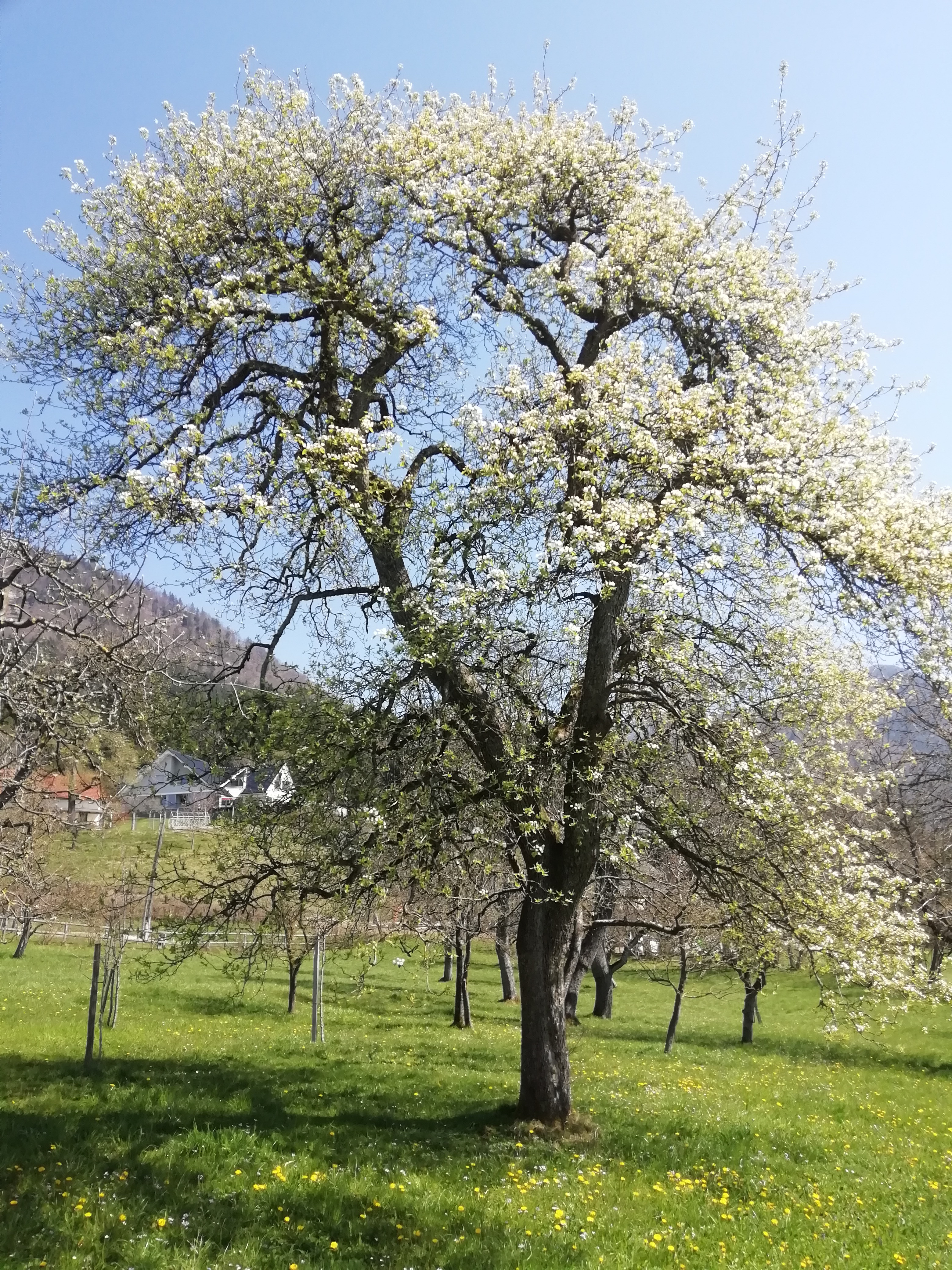 10. NATEČAJ ZA NAJBOLJŠE LJUBEZENSKO PISMO MED MLADIMI V SLOVENIJI