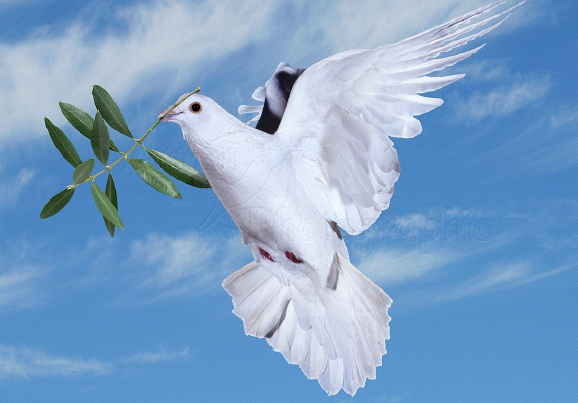 REZULTATI NATEČAJA ZA NAJBOLJŠE LJUBEZENSKO PISMO V SLOVENIJI ZA LETO 2021