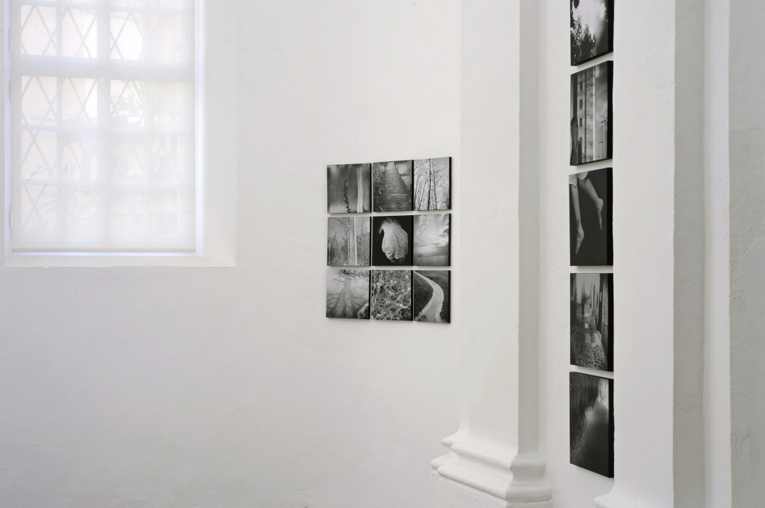 Arven Šakti Kralj Szomi | BEREM TE