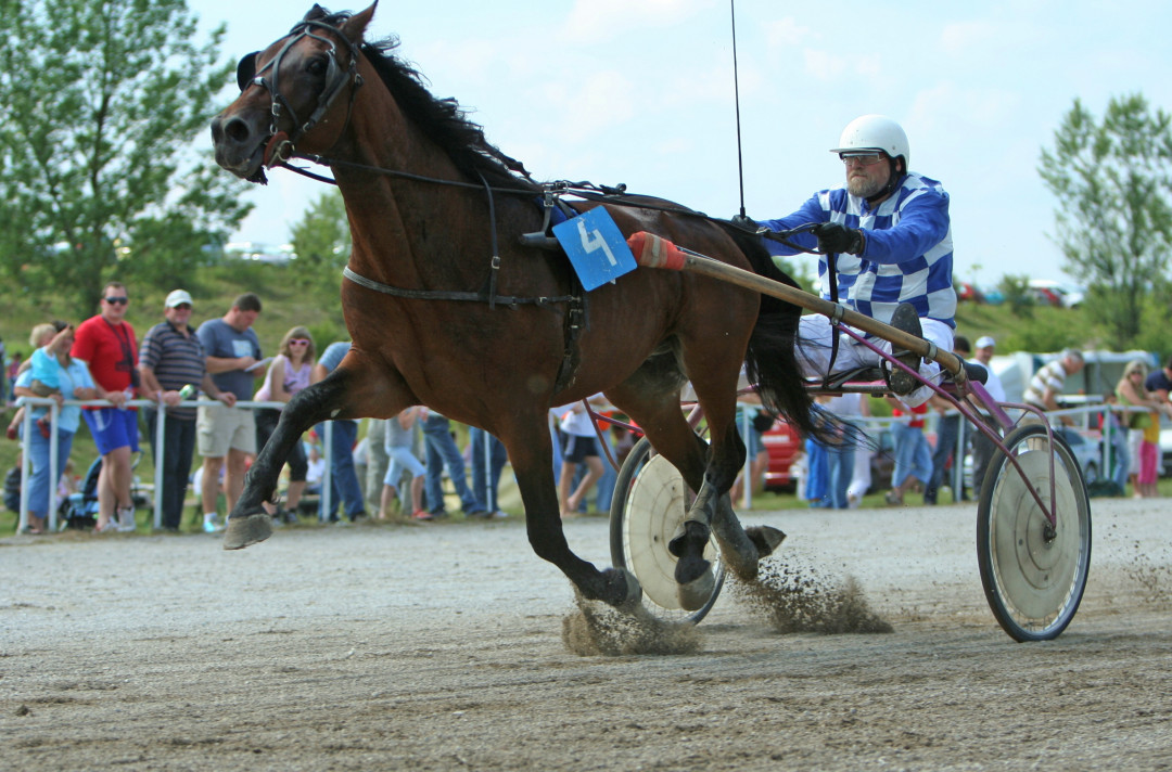 100 let kasaške dejavnosti v Posavju