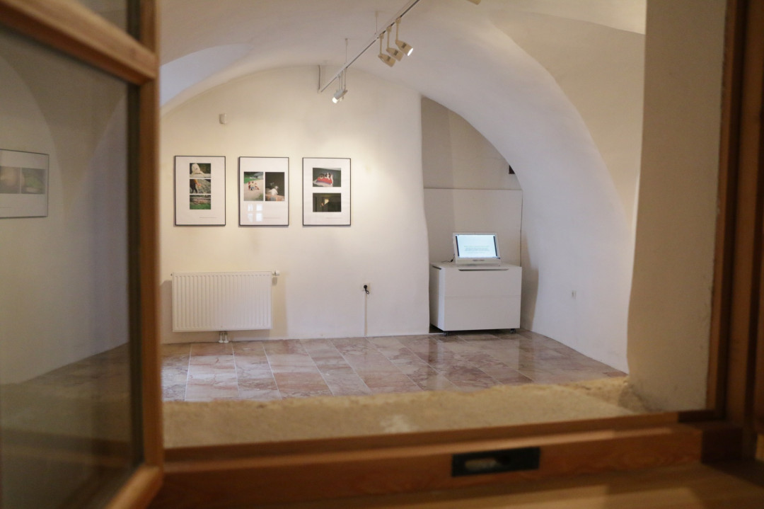 347889030_624008999355345_8315113667931067633_n