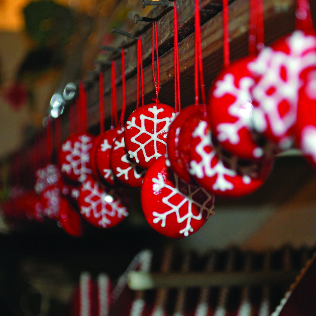 Predstavitev projekta Pot medičarstva in lectarstva med Krškim in Zagrebom