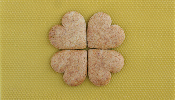Začasne