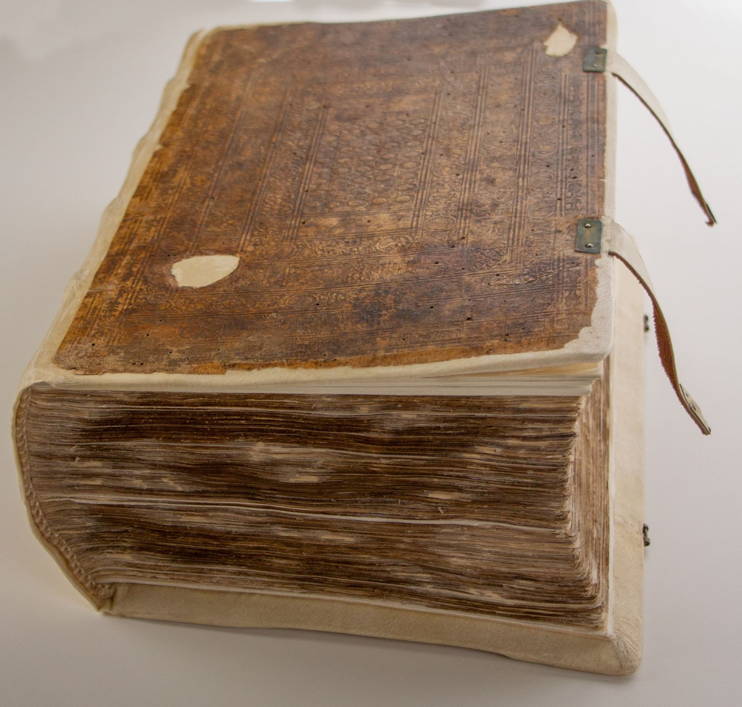 Burno 16. stoletje – izjemni dosežki in odmevi v 21. stoletju