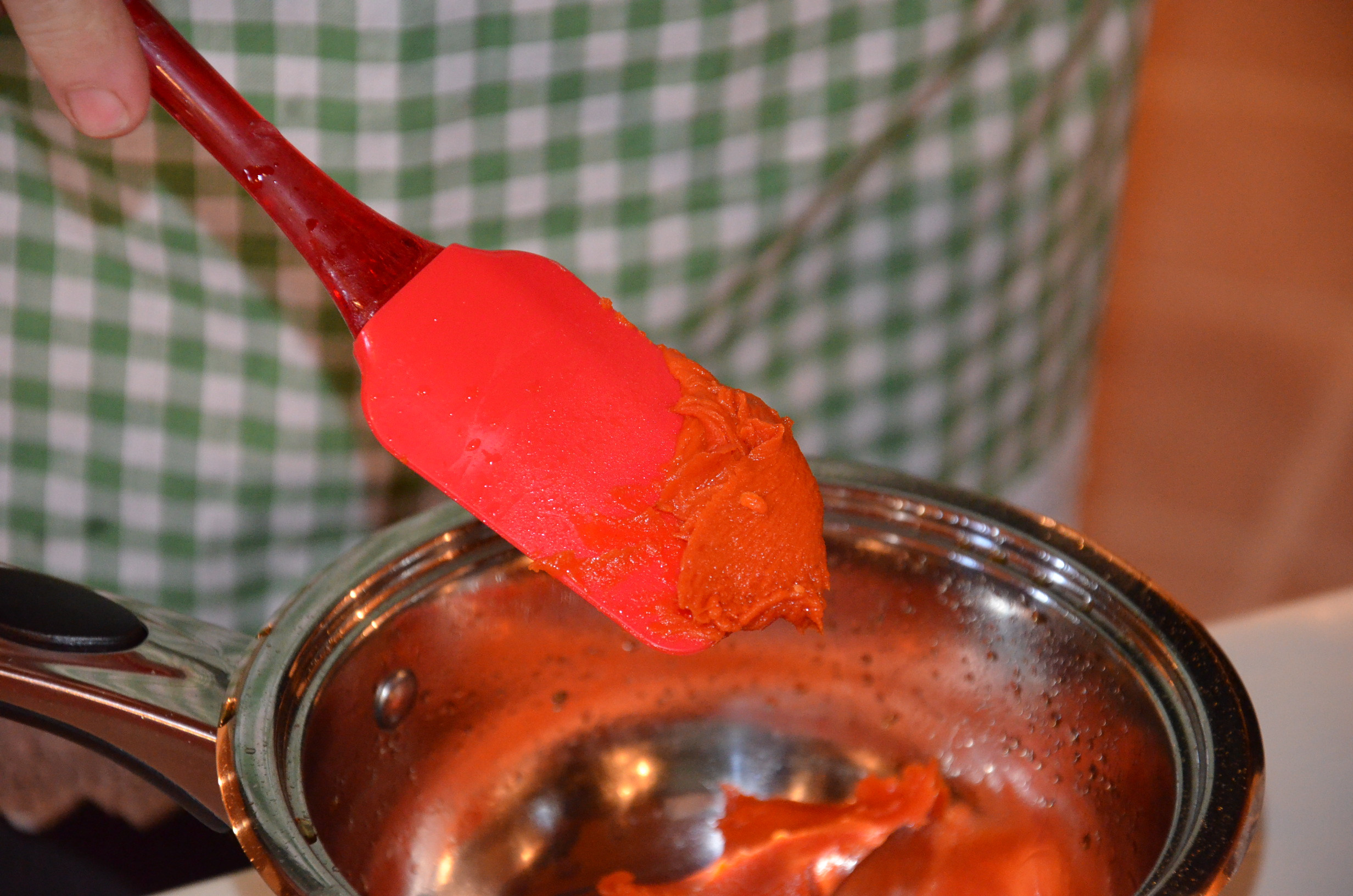 Delavnica z zeliščarko