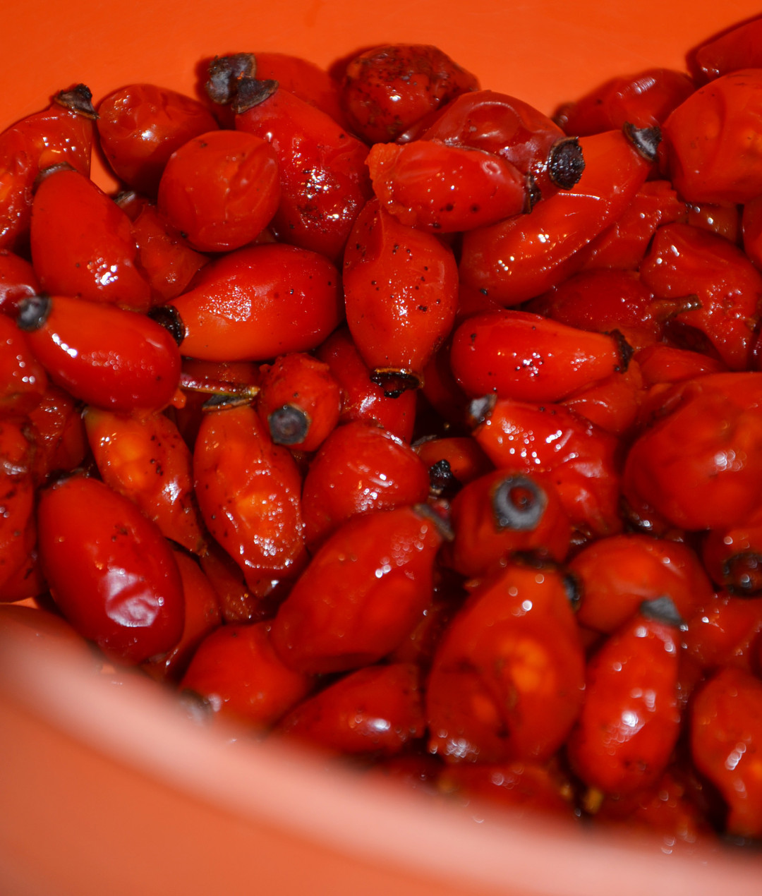 Delavnica z zeliščarko