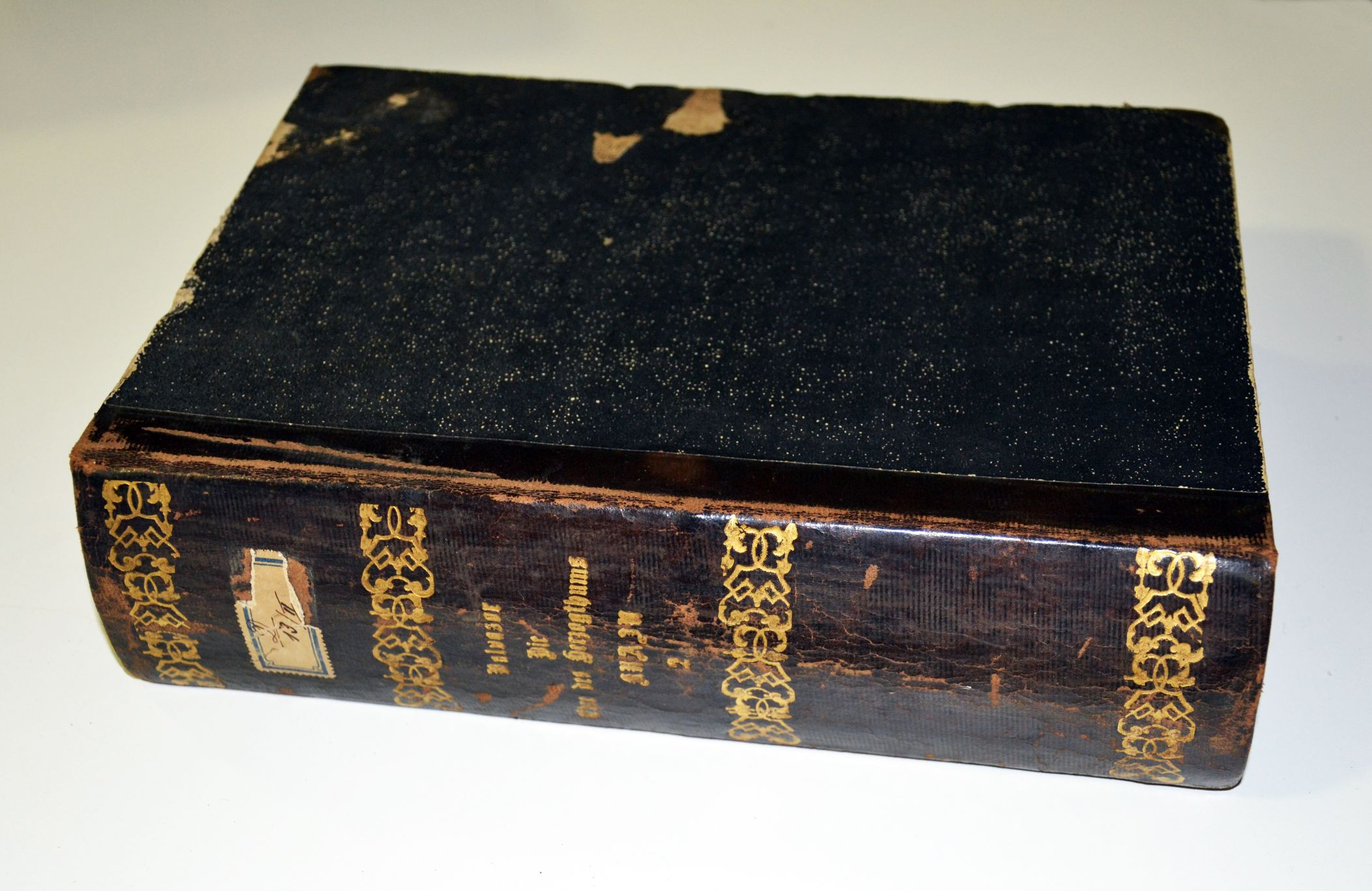 Dokument časa – knjiga