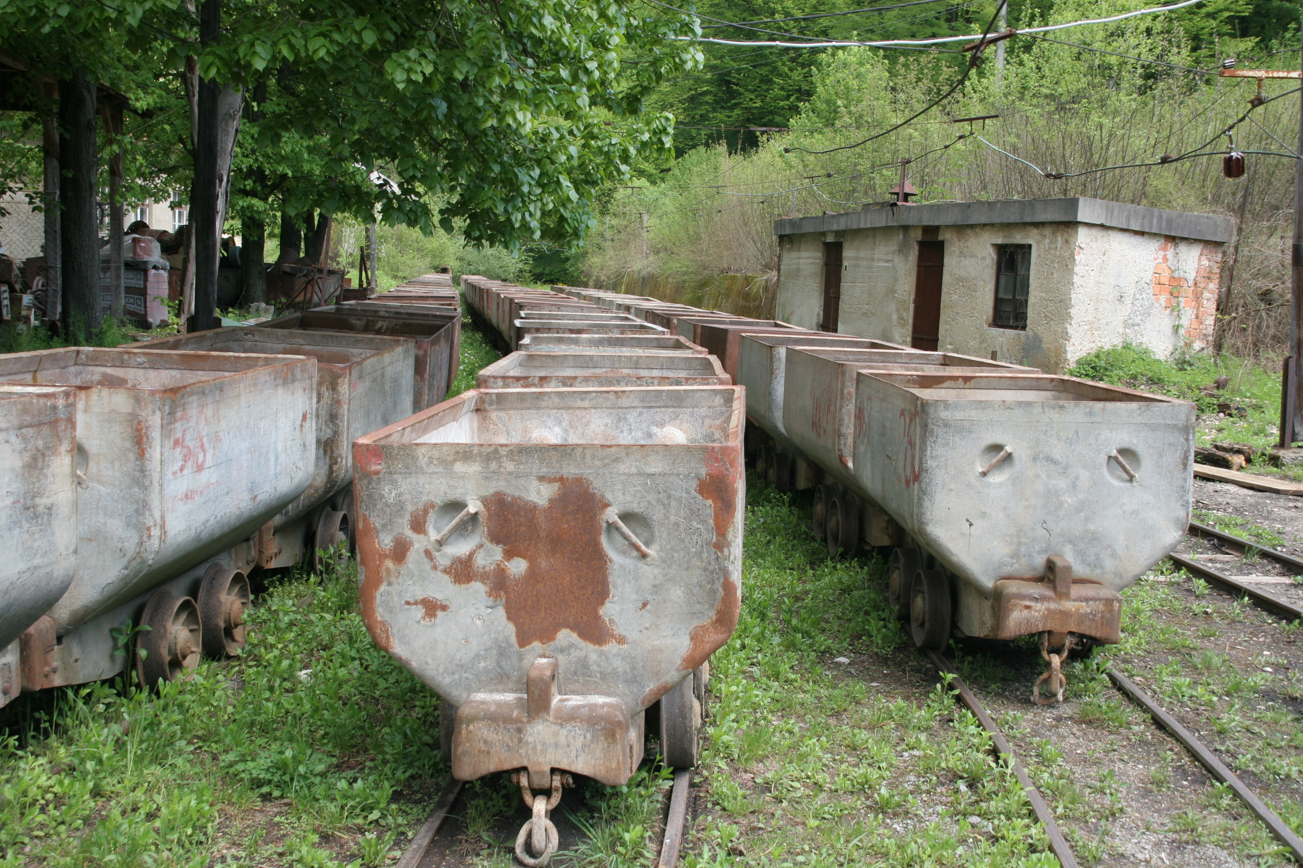 fotogr80742.JPG