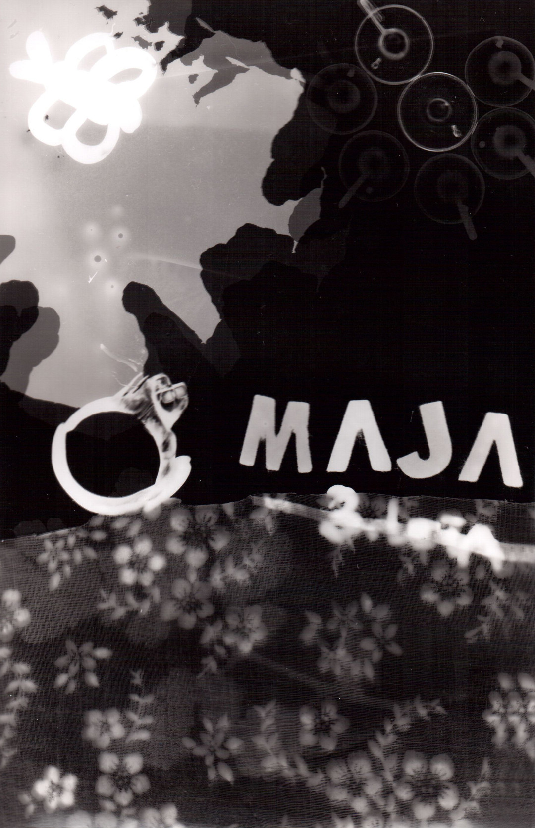 Fotogram, delavnica ob fotografski razstavi Privid življenja