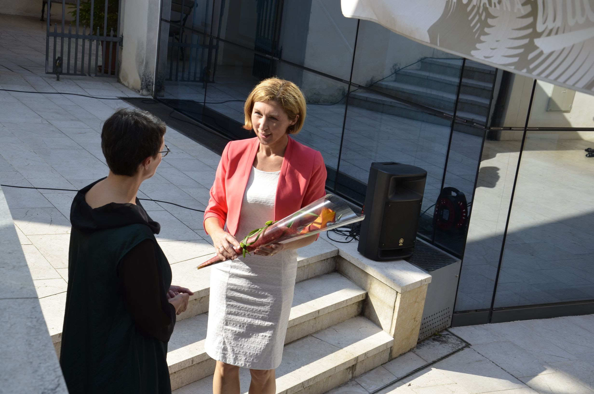 Fran Bonač in tovarna celuloze na Vidmu pri Krškem