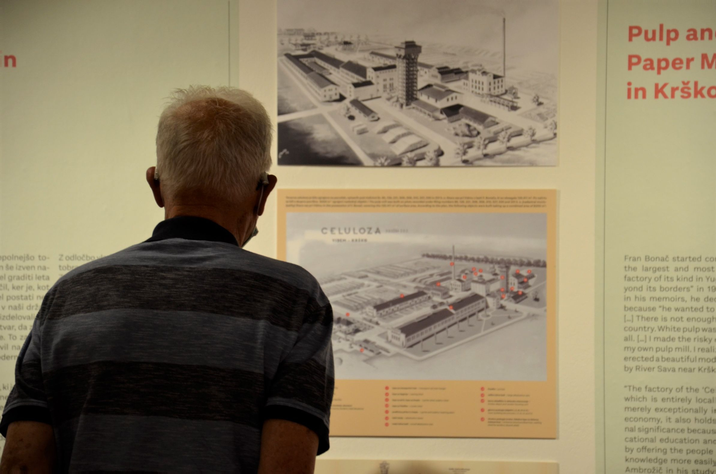 Fran Bonač in tovarna celuloze na Vidmu pri Krškem