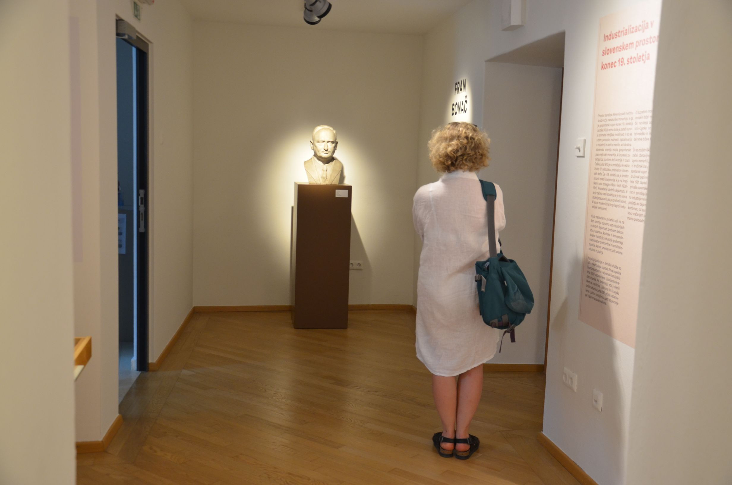 Fran Bonač in tovarna celuloze na Vidmu pri Krškem