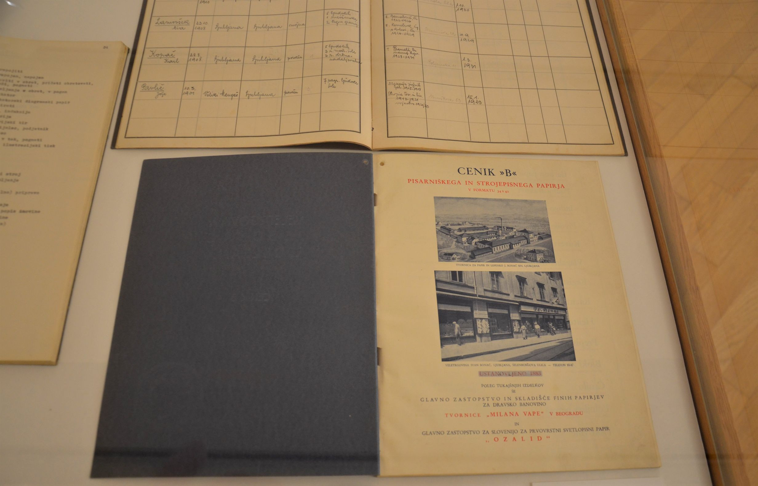 Fran Bonač in tovarna celuloze na Vidmu pri Krškem