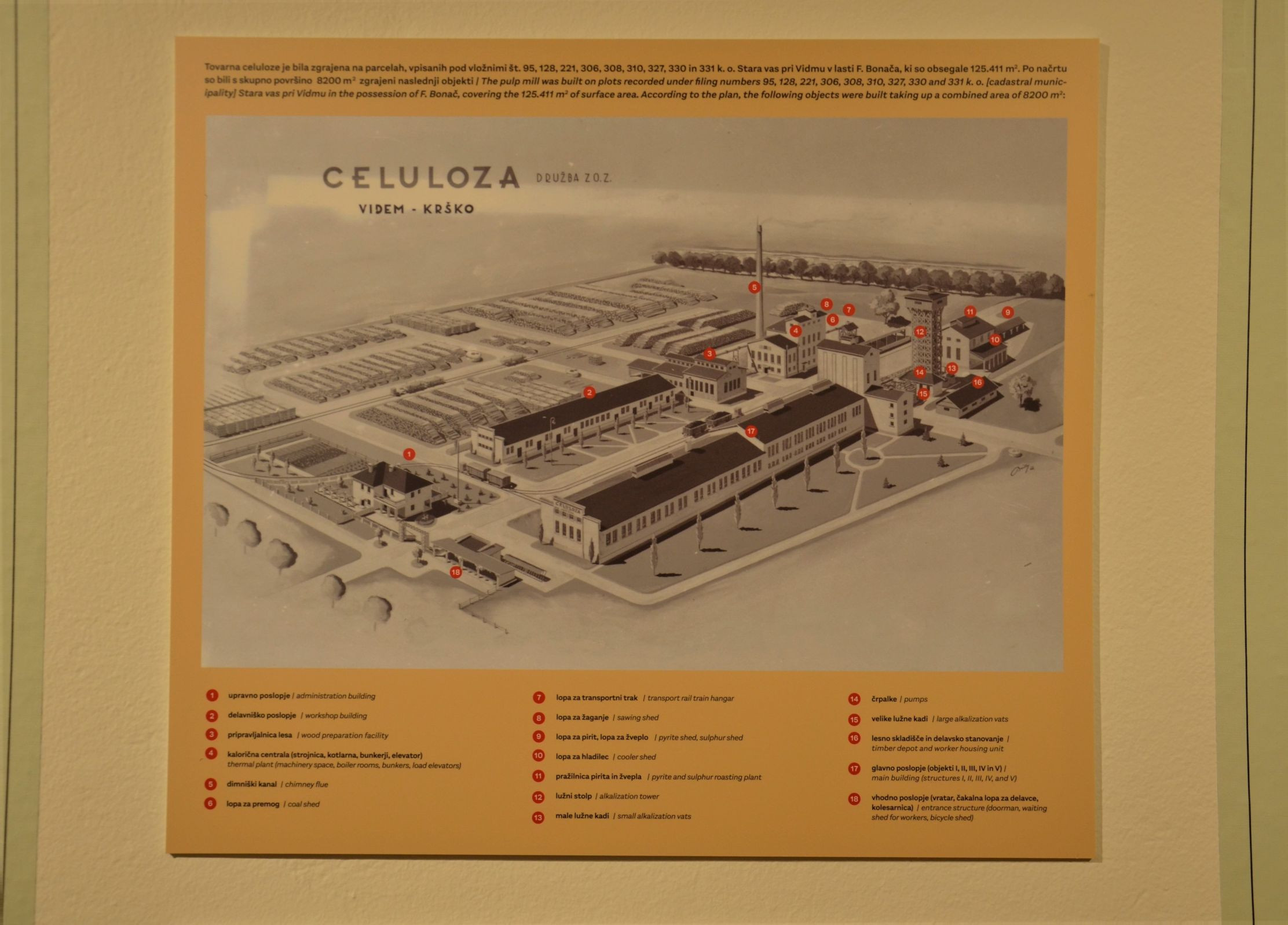 Fran Bonač in tovarna celuloze na Vidmu pri Krškem