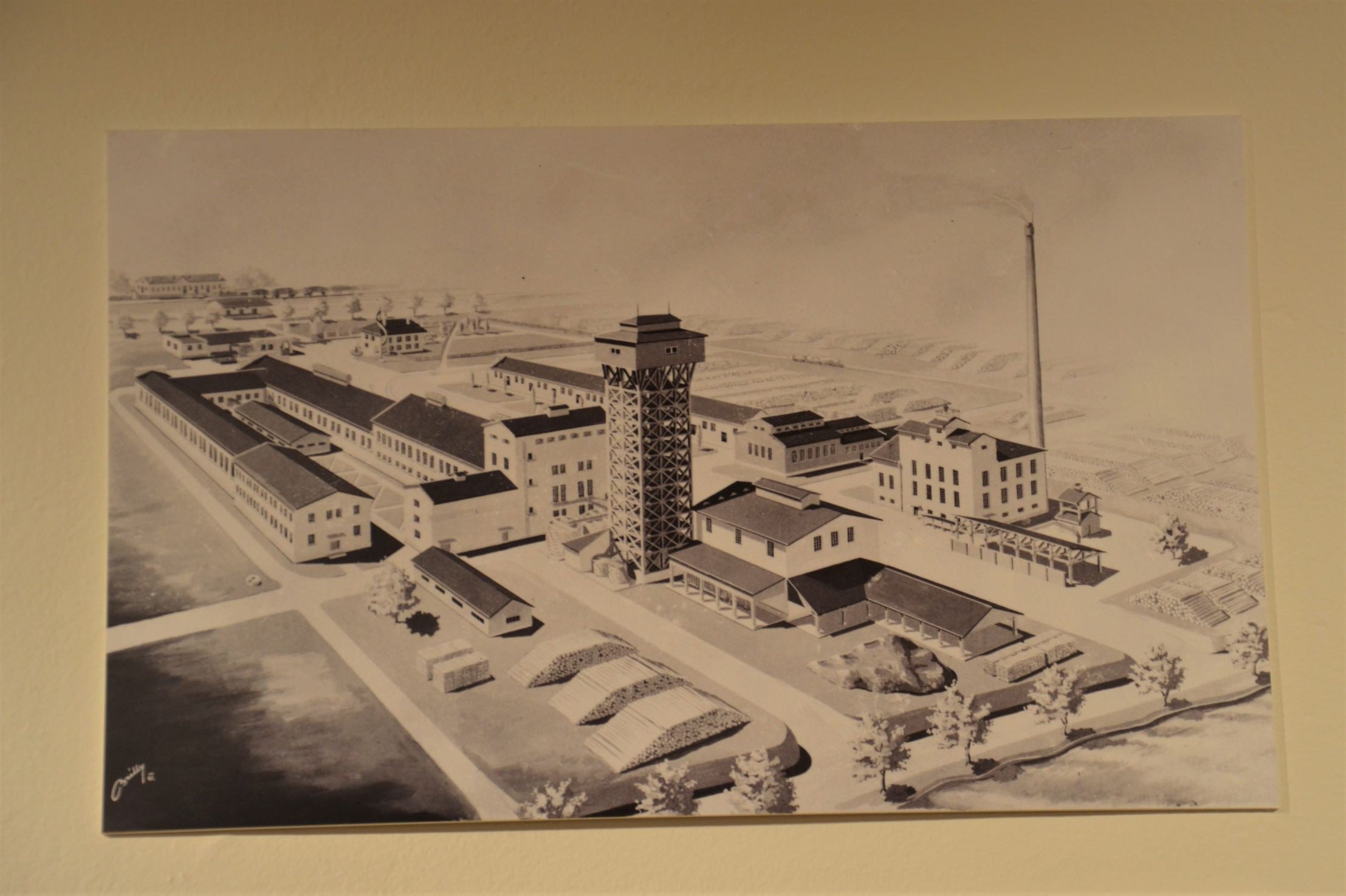 Fran Bonač in tovarna celuloze na Vidmu pri Krškem