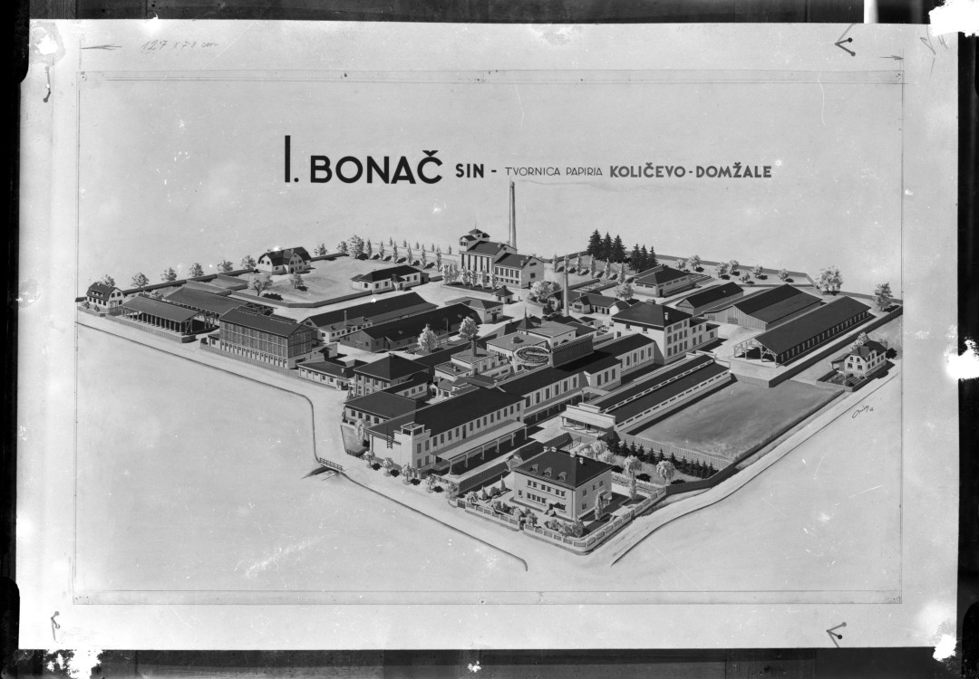 Fran Bonač in tovarna celuloze na Vidmu pri Krškem