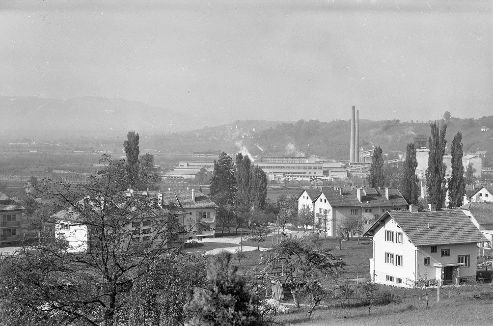 Fran Bonač in tovarna celuloze na Vidmu pri Krškem