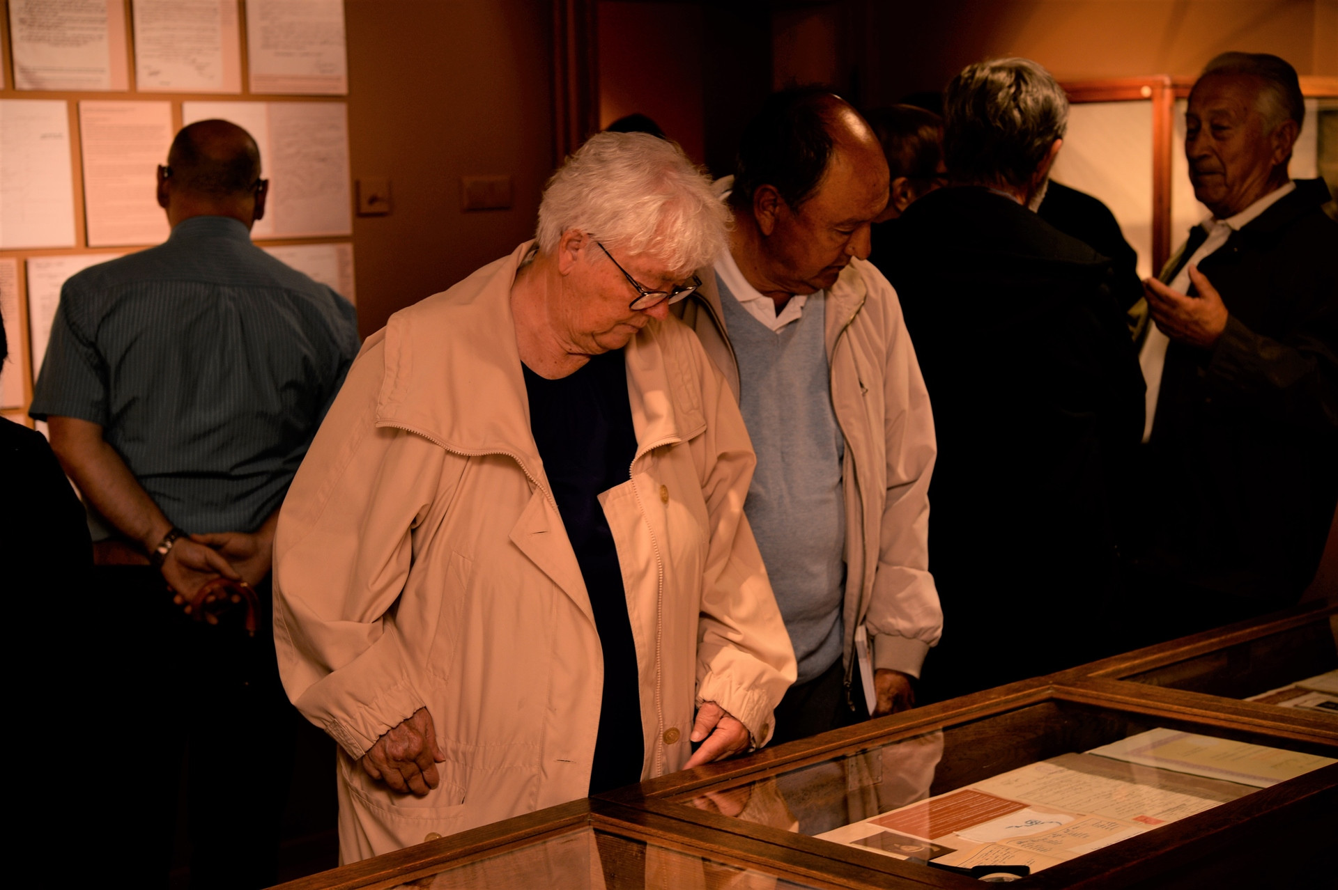 Franjo in Iva Stiplovšek: razvoj muzealstva v Posavju