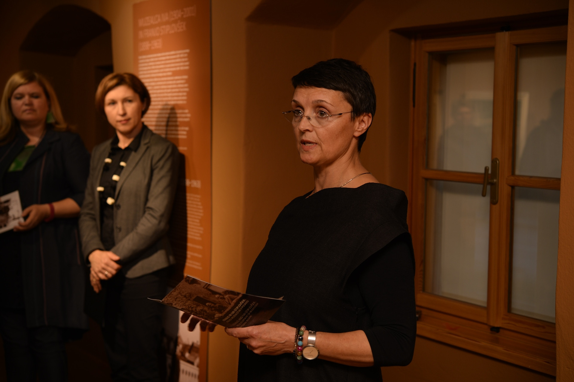 Franjo in Iva Stiplovšek: razvoj muzealstva v Posavju