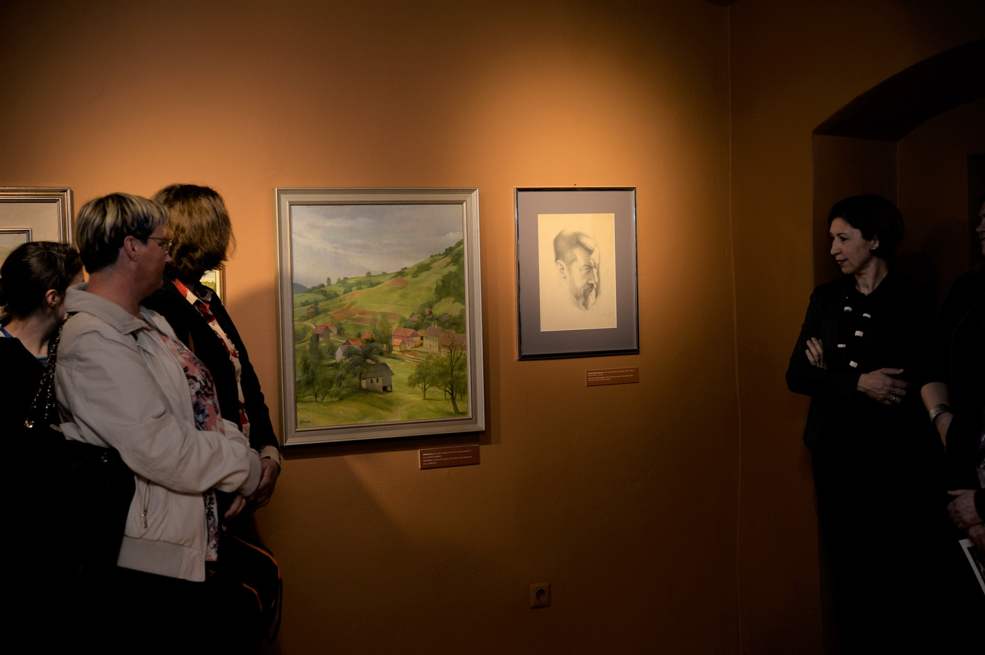 Franjo in Iva Stiplovšek: razvoj muzealstva v Posavju