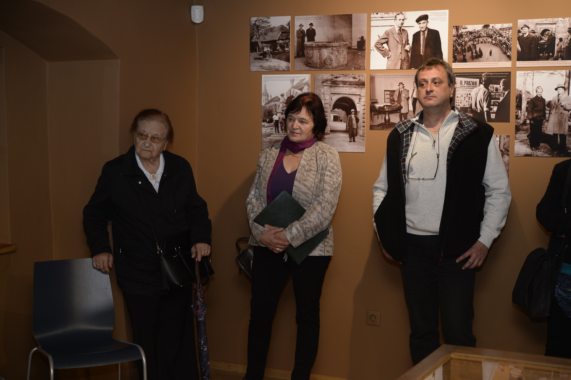 Franjo in Iva Stiplovšek: razvoj muzealstva v Posavju