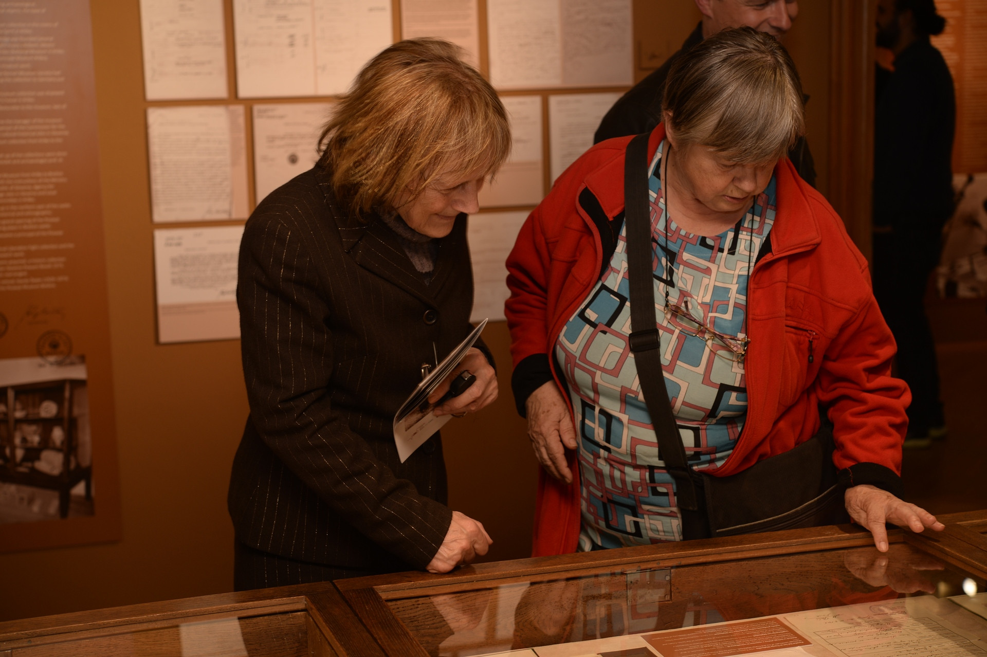 Franjo in Iva Stiplovšek: razvoj muzealstva v Posavju