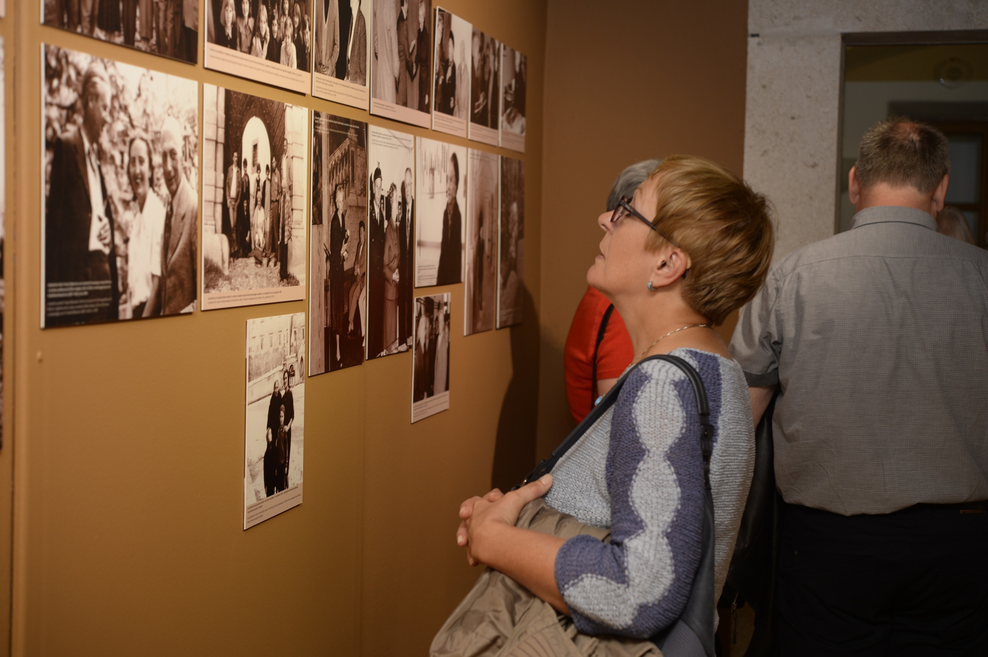 Franjo in Iva Stiplovšek: razvoj muzealstva v Posavju