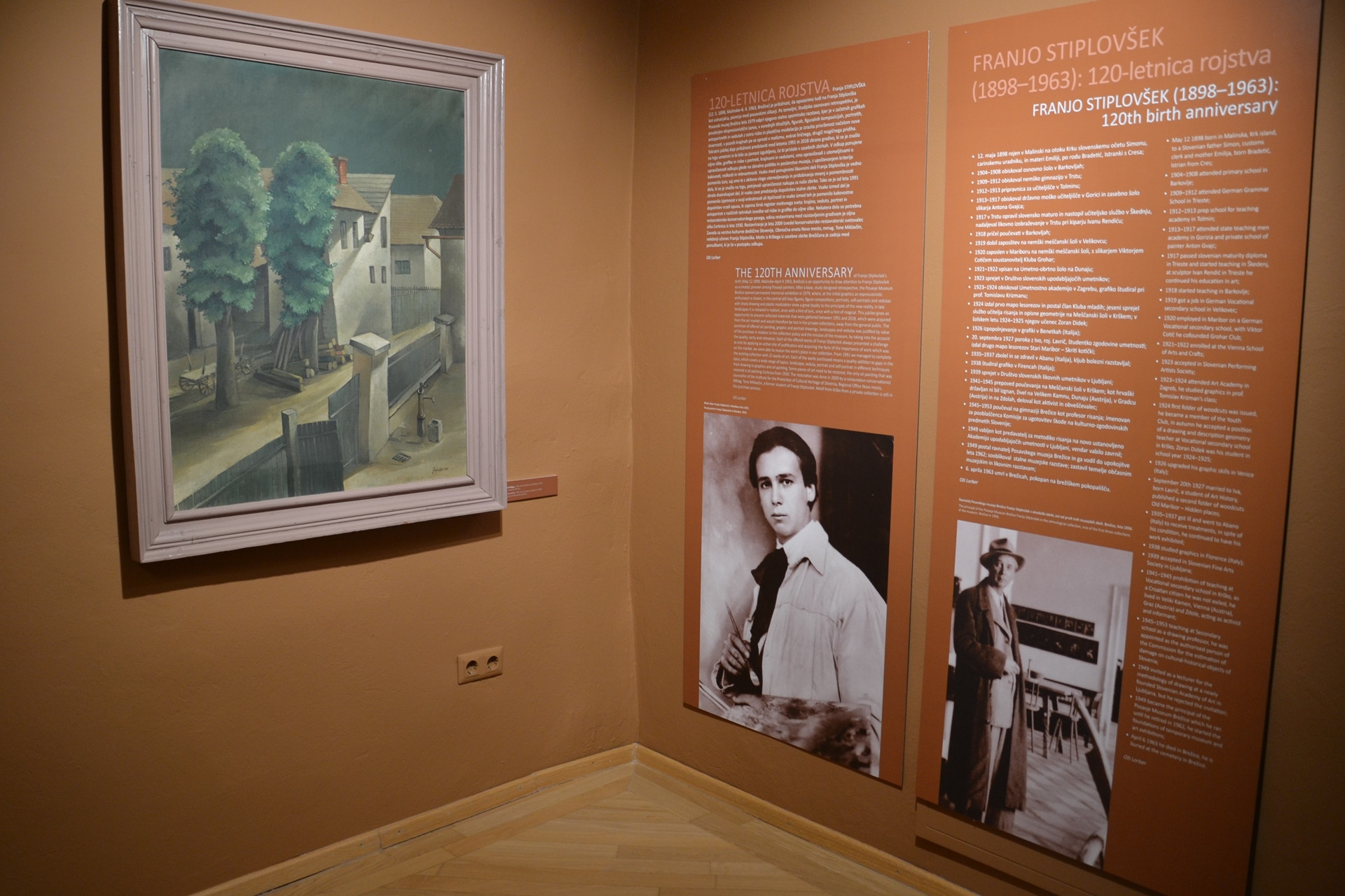 Franjo in Iva Stiplovšek: razvoj muzealstva v Posavju