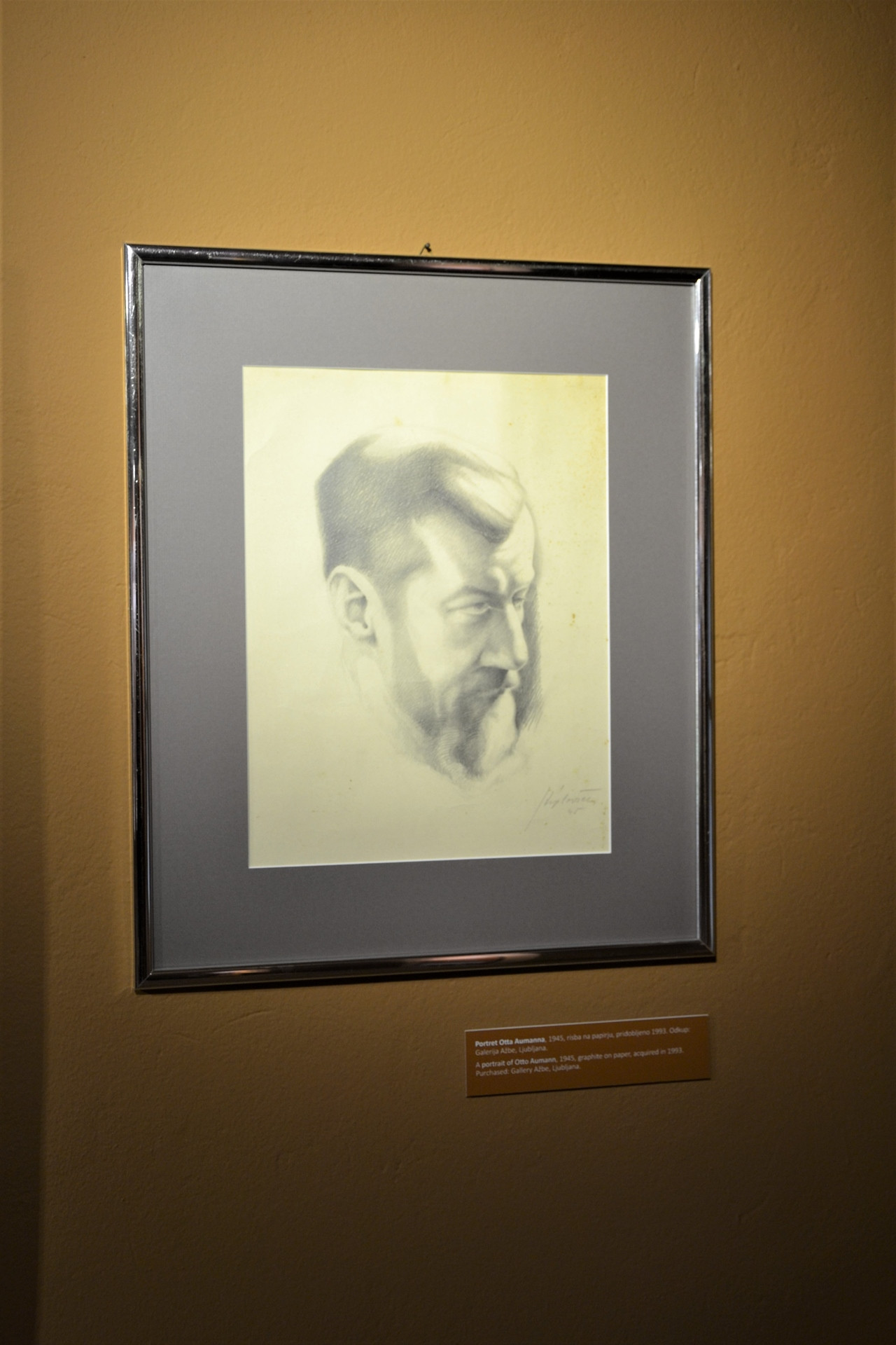 Franjo in Iva Stiplovšek: razvoj muzealstva v Posavju