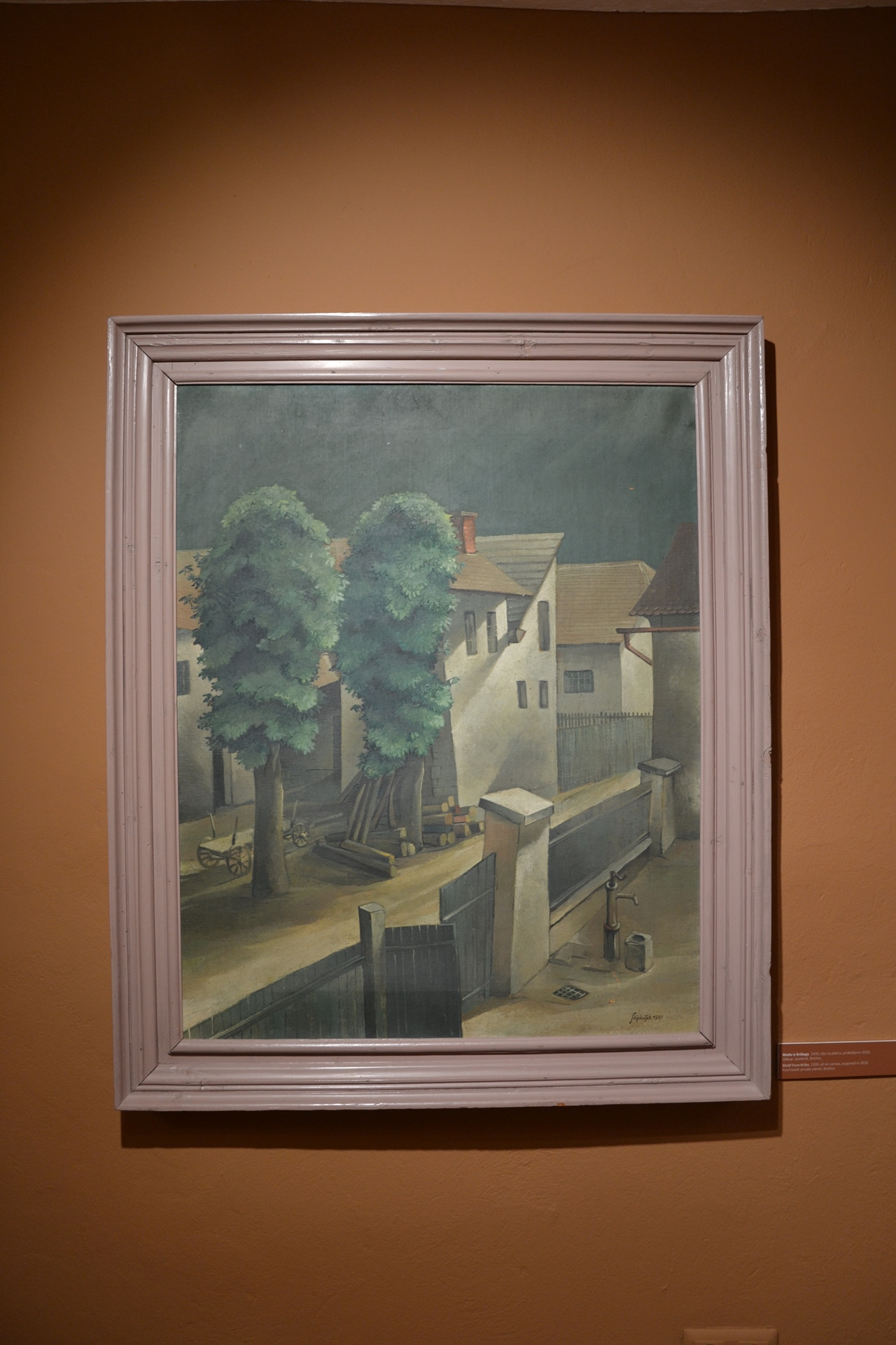 Franjo in Iva Stiplovšek: razvoj muzealstva v Posavju