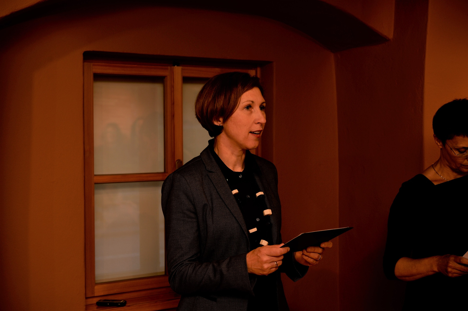 Franjo in Iva Stiplovšek: razvoj muzealstva v Posavju