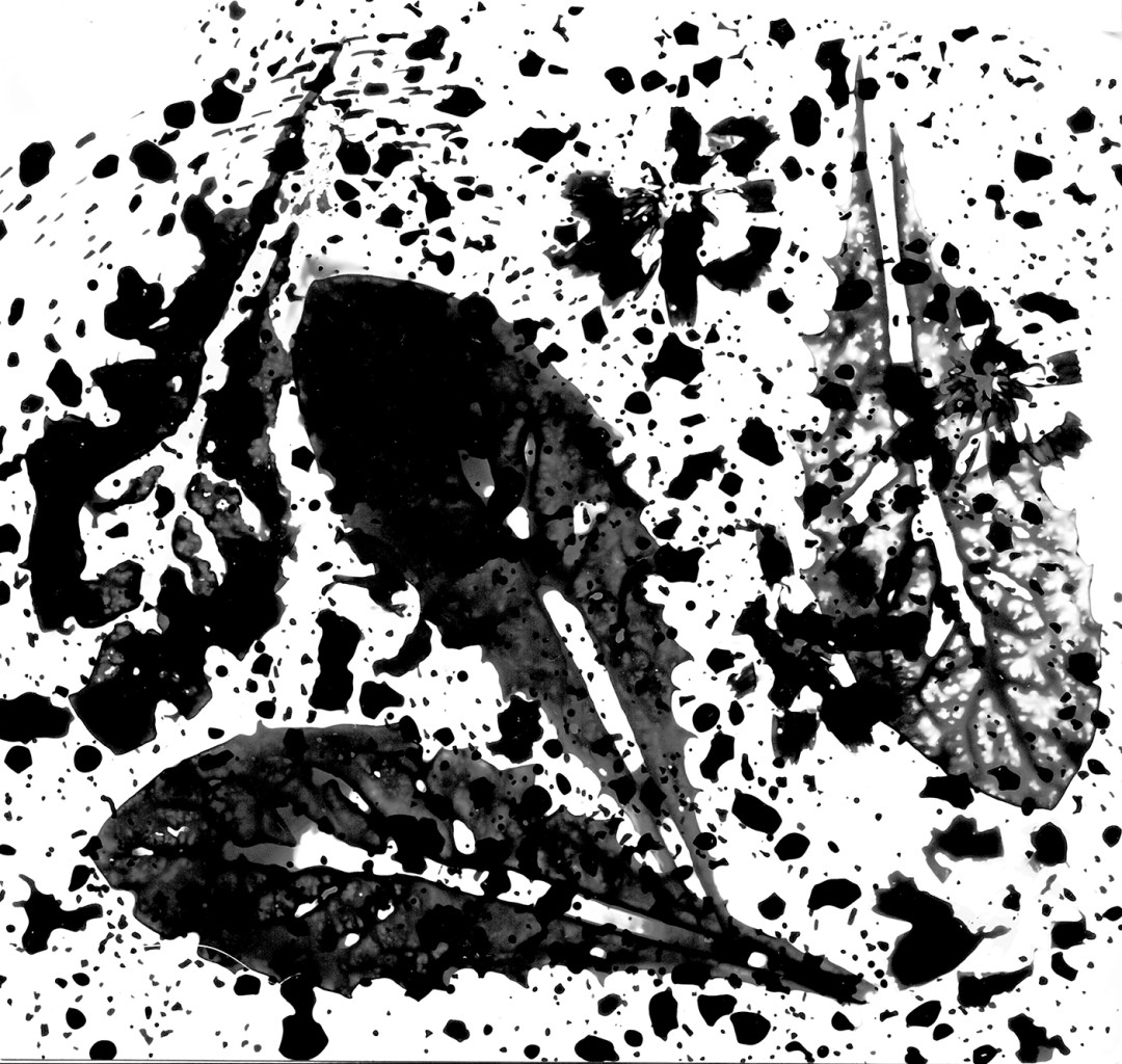 Kemogram, počitniška delavnica