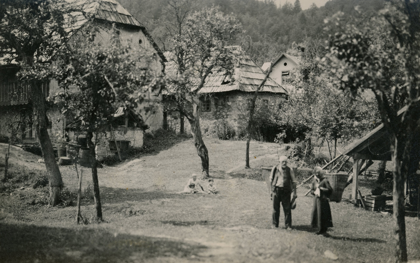 Na današnji dan: France Vardjan (1900–1994), hortikulturnik