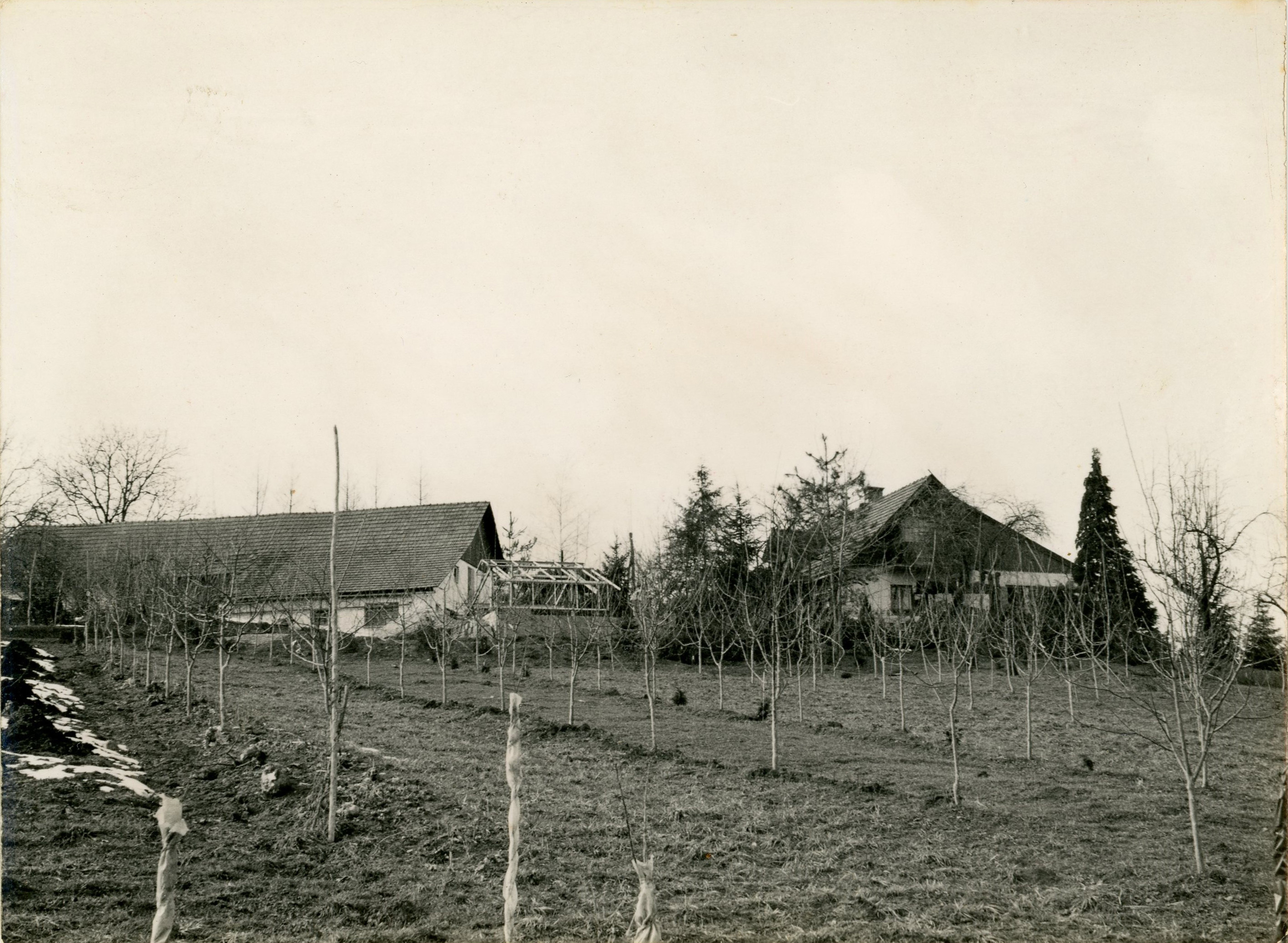 Na današnji dan: France Vardjan (1900–1994), hortikulturnik