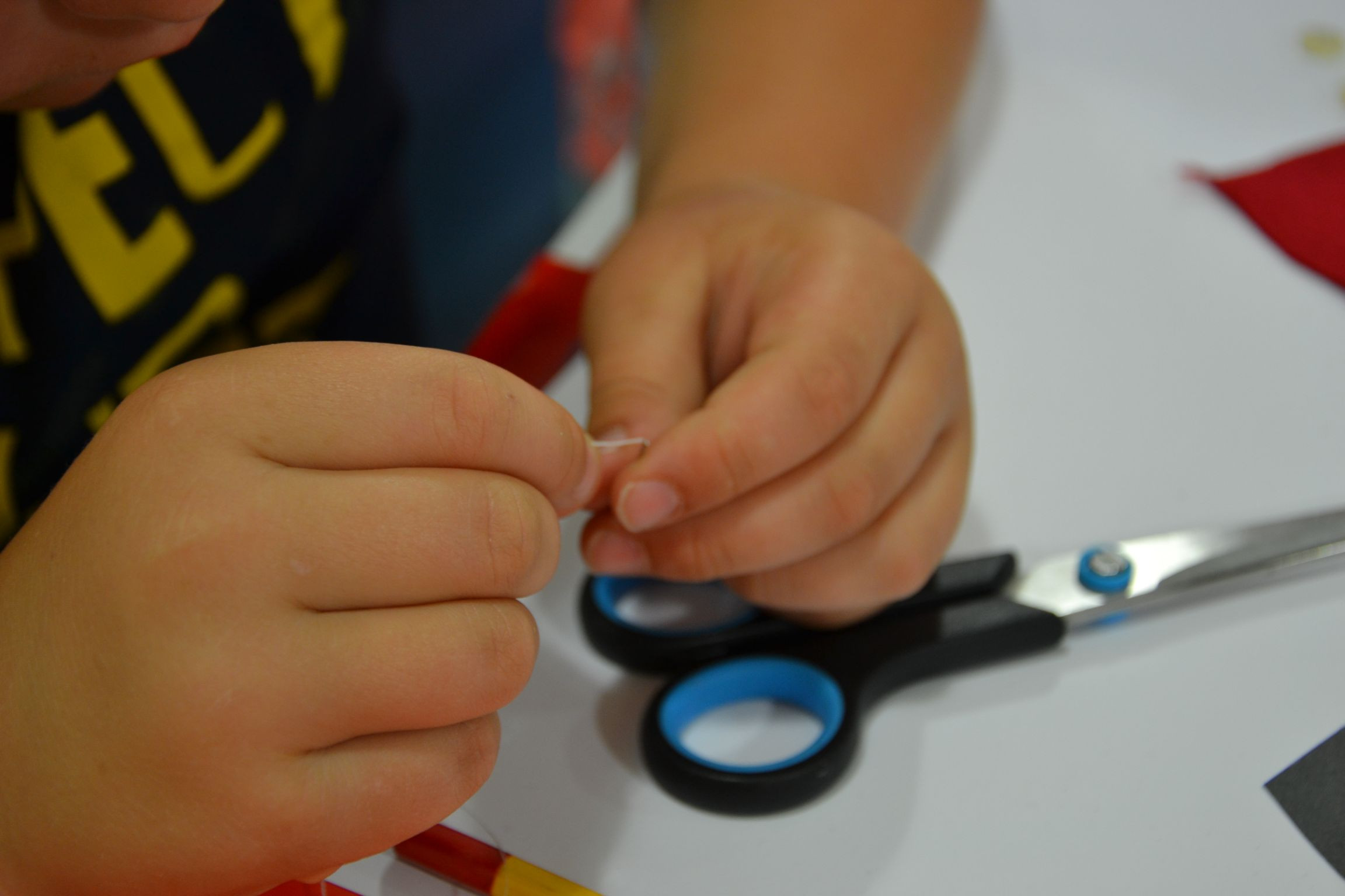 Na obisku pri Josipini Hočevar