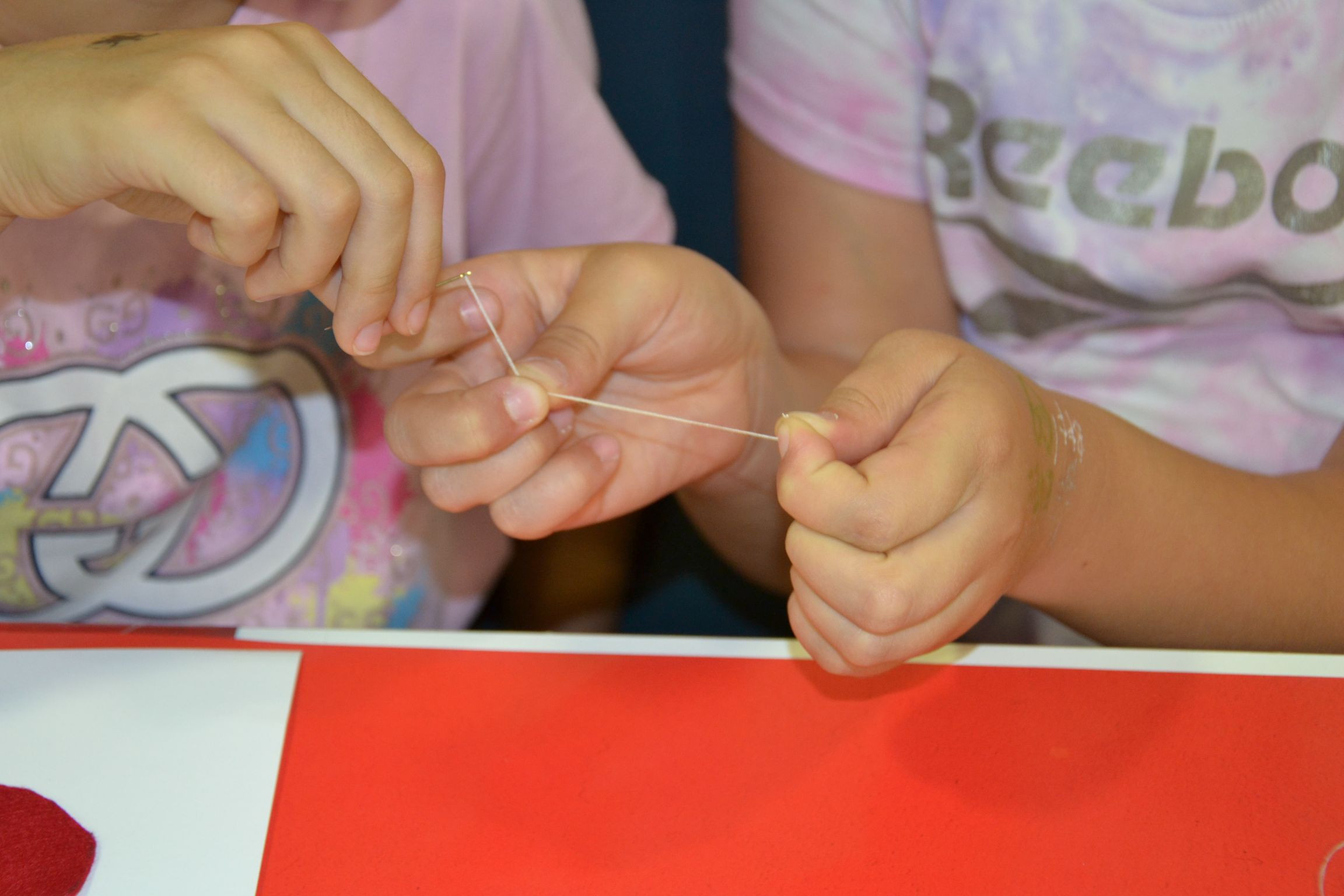 Na obisku pri Josipini Hočevar