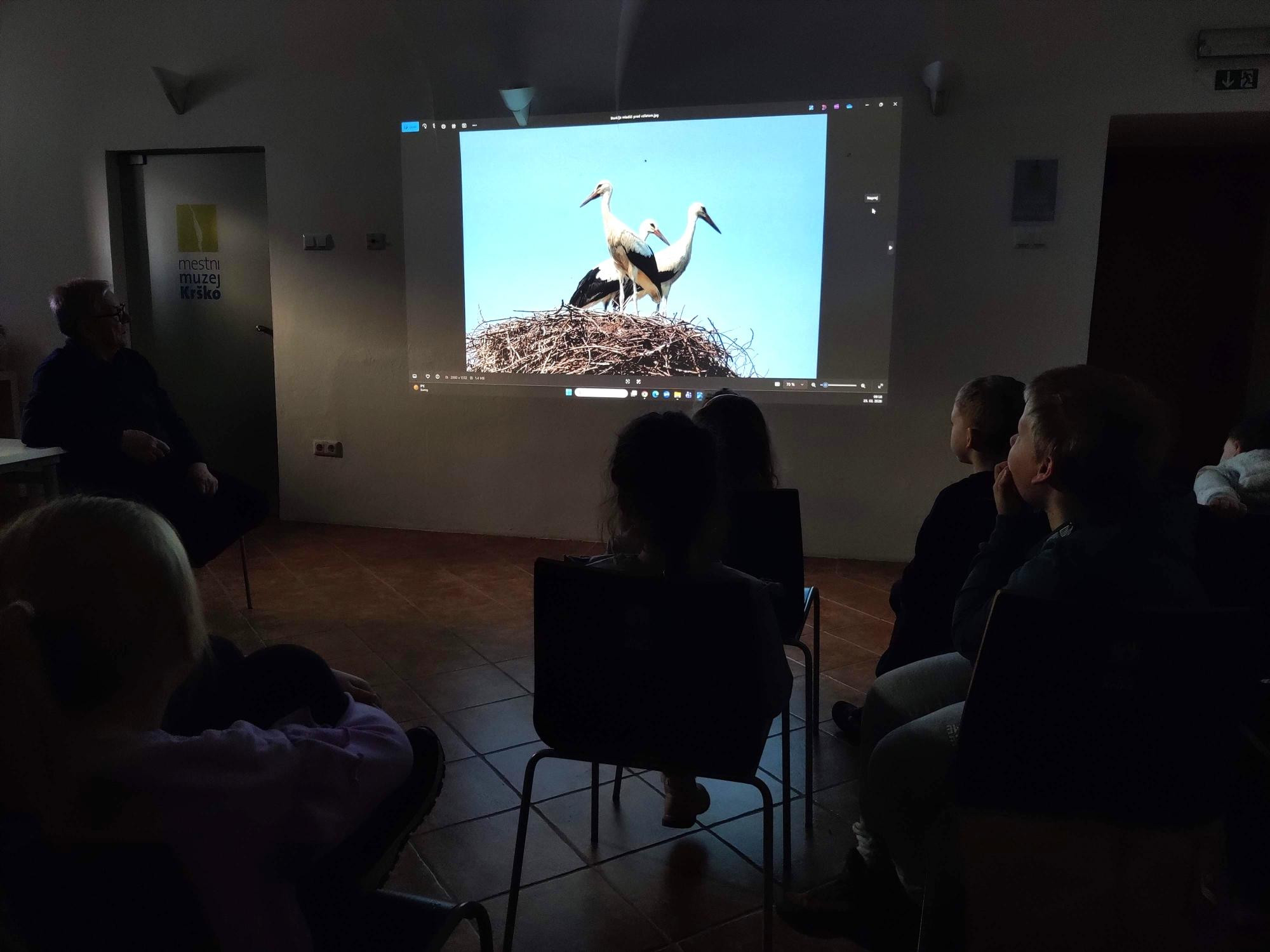 Naprej v preteklost: Muzeji povezujejo razdeljeni svet