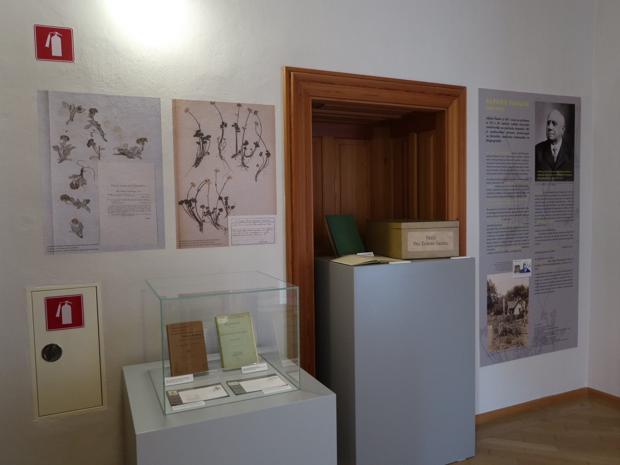 Od cvetja do zdravilnih zelišč