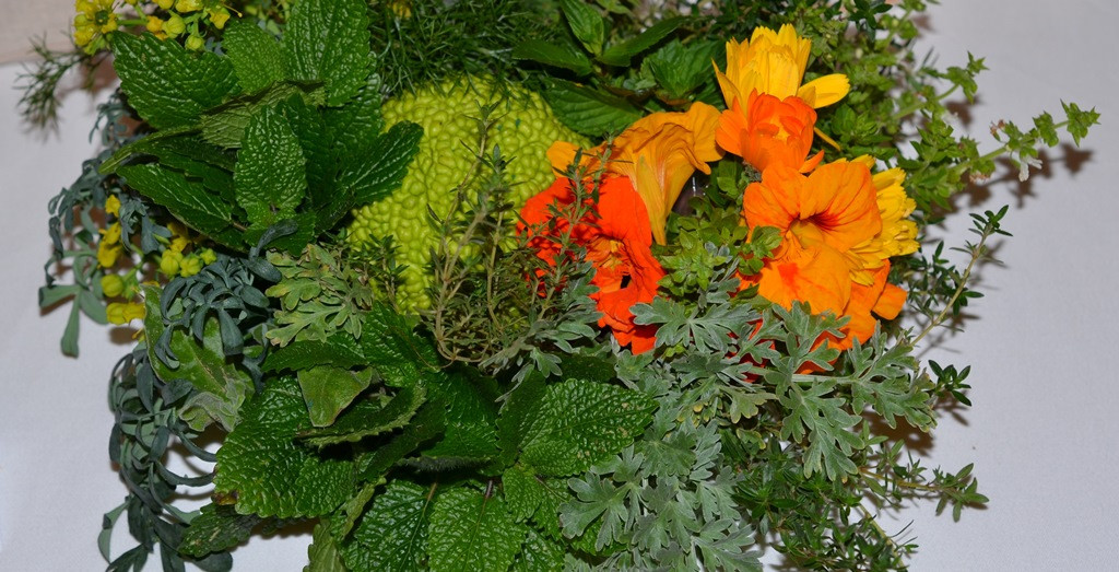 Od cvetja do zdravilnih zelišč